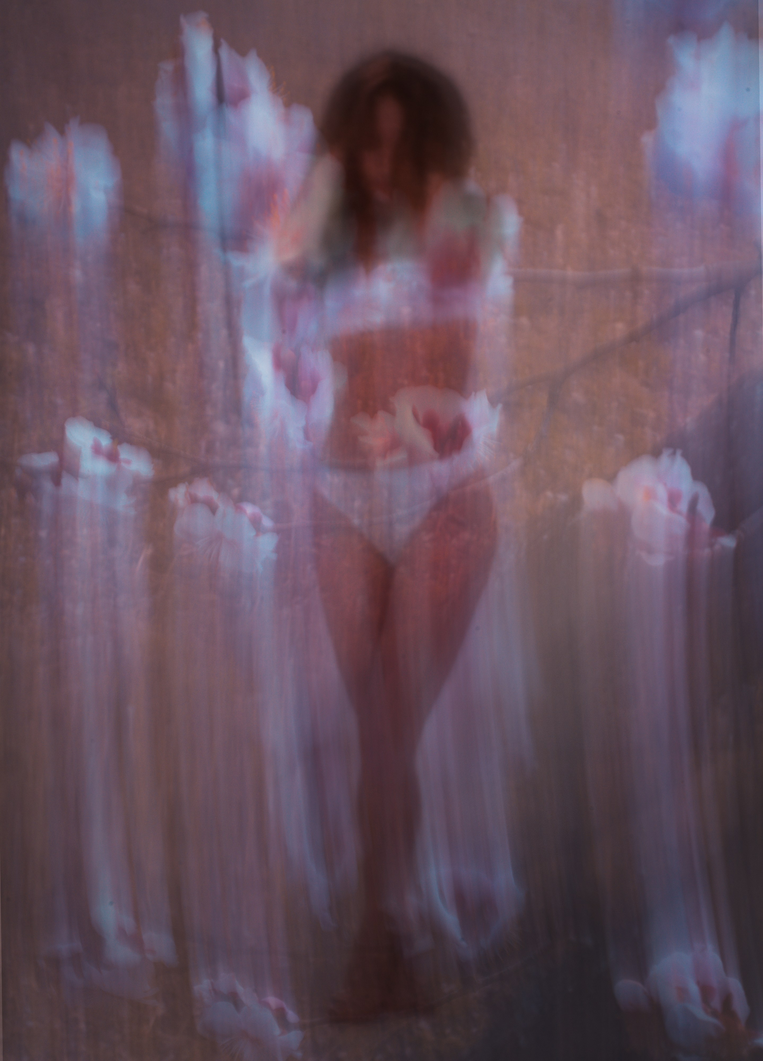 KINDS OF SOLITUDE. International visual artist
