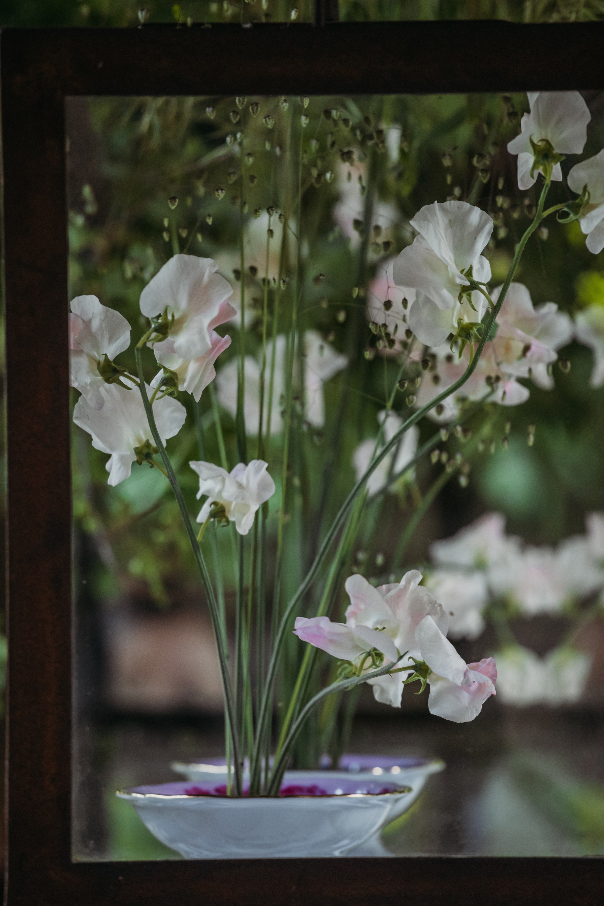 Родные люди «Переделкино». Леся Гаранина. Семейный фотограф/видеограф Москва и область