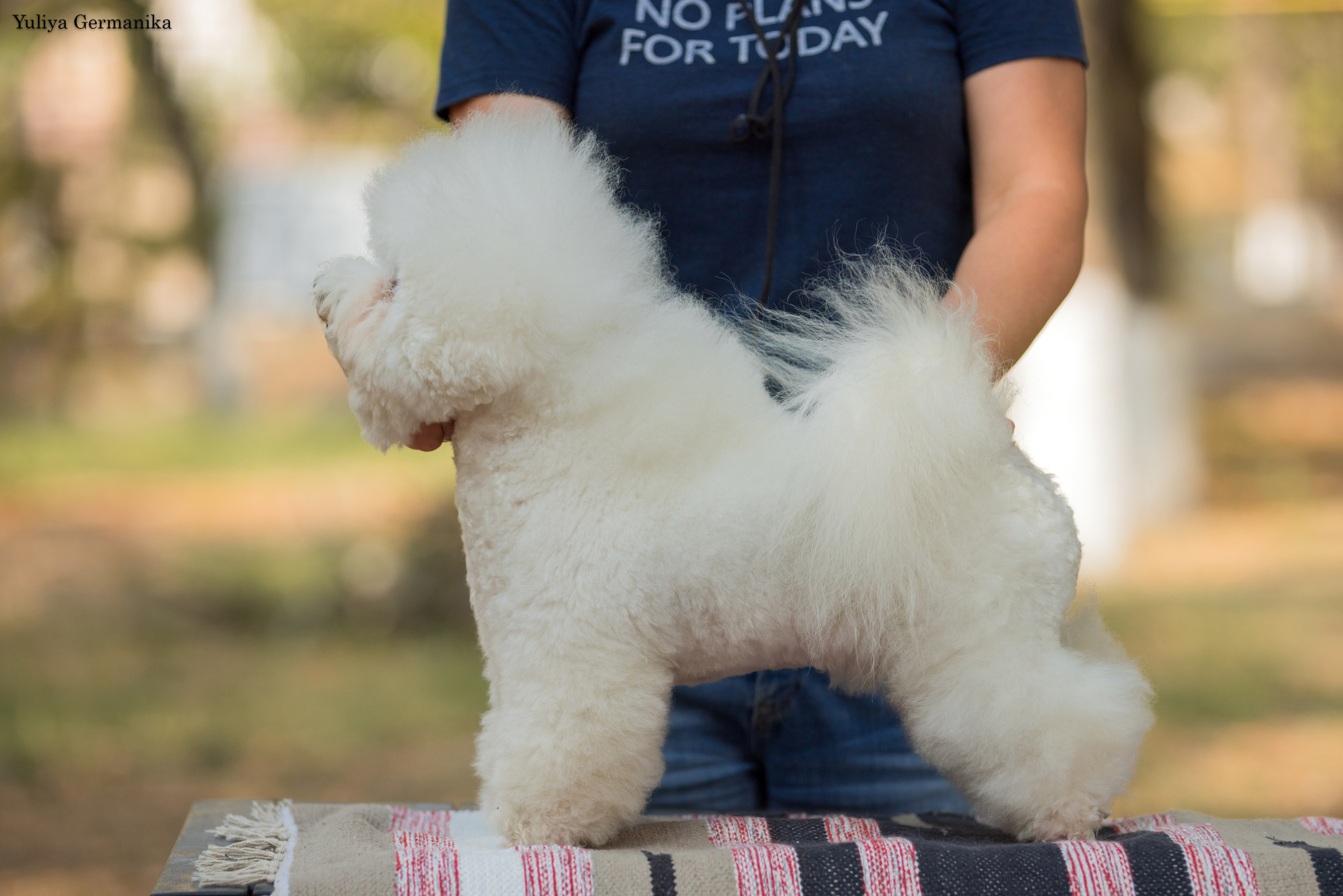 Ташкент 6-8.10.2023 + Алматы 14-15.10.2023. Фотограф-анималист Юлия Германика