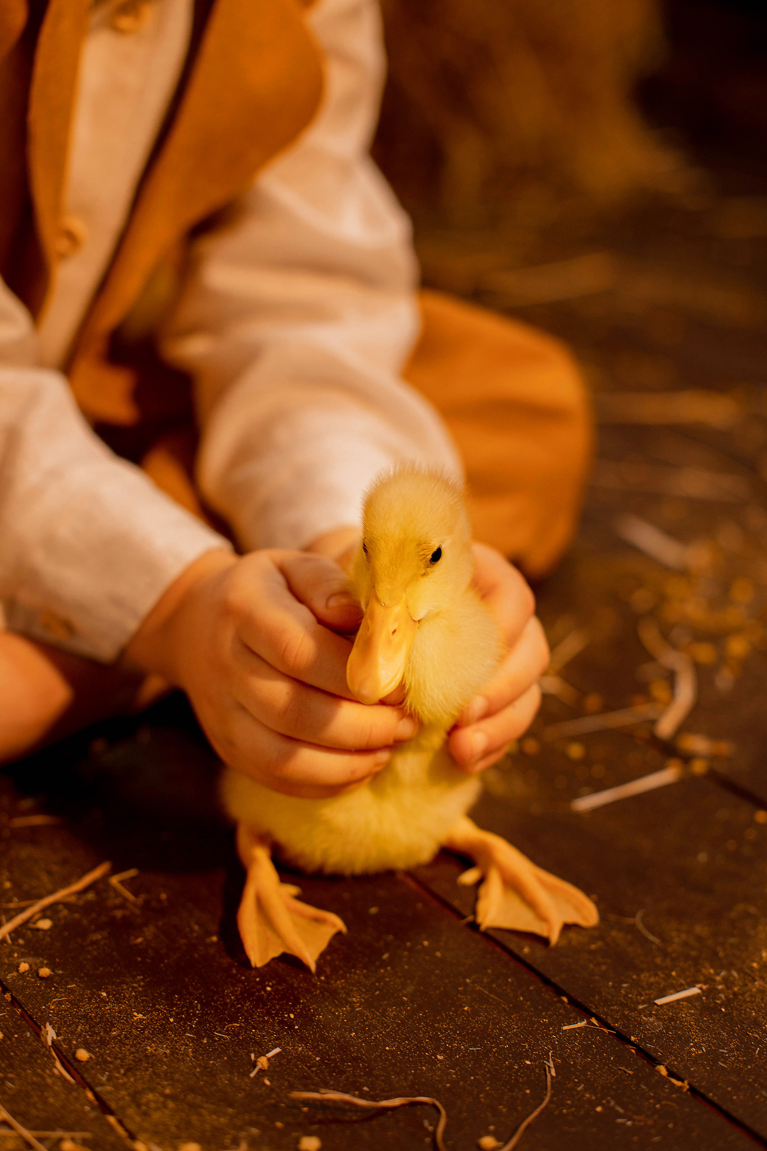 Светлая Пасха. Женский и семейный фотограф