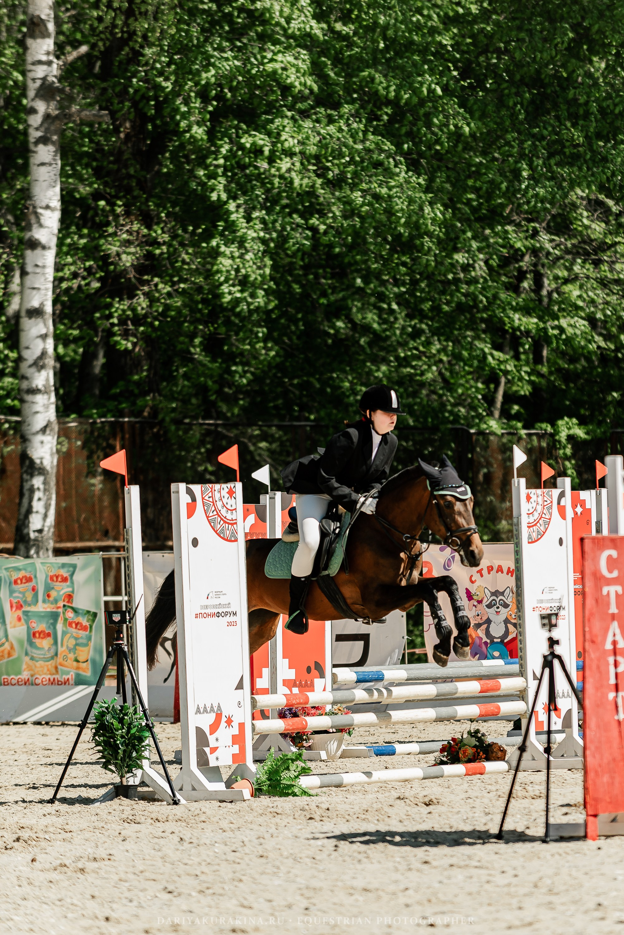 #ПОНИФОРУМ 2024. Конный фотограф Куракина Дарья • Фотосессии с лошадьми