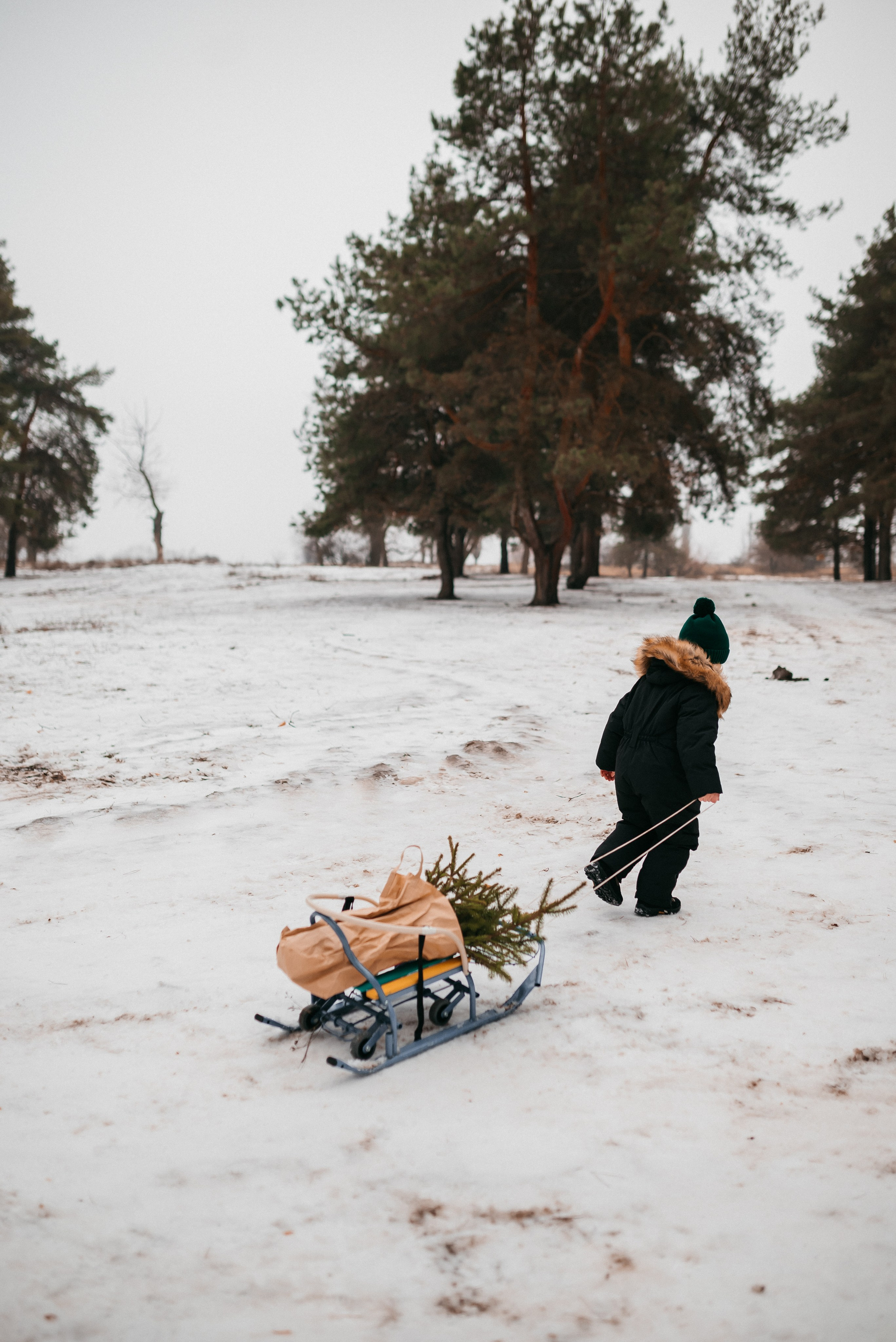 Лесная история. Фотограф в Волгограде и Волжском