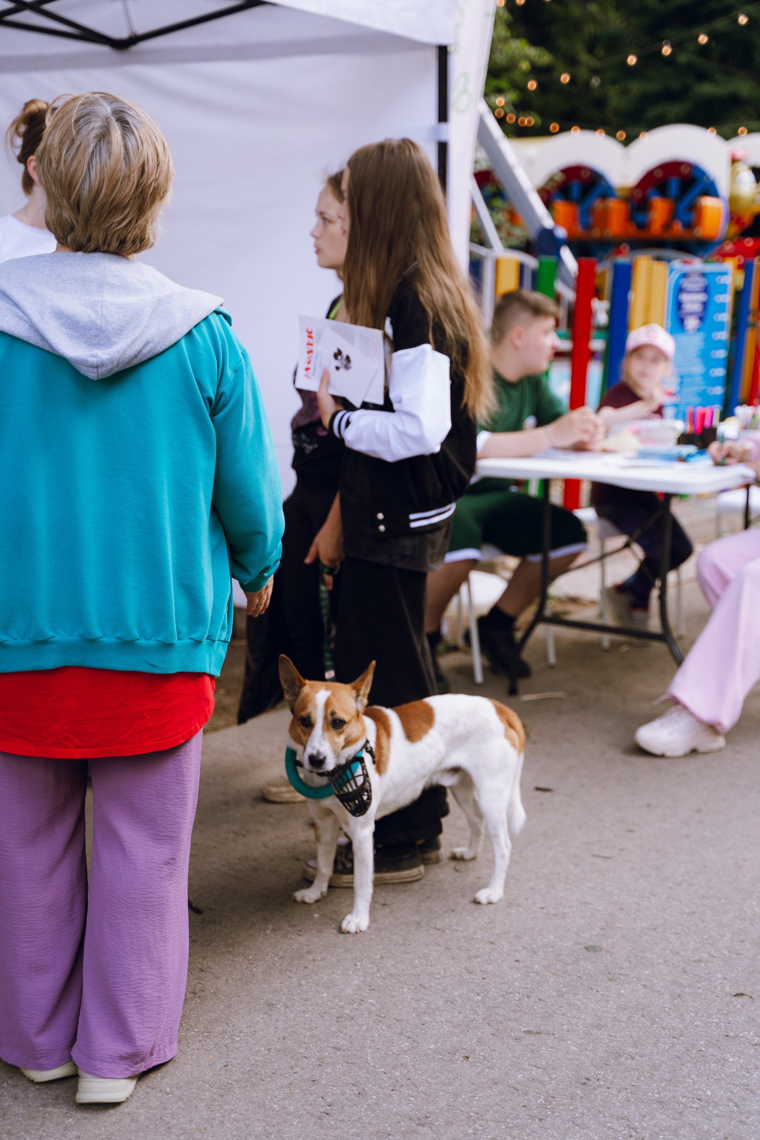 Площадка фестиваля «Мампус и его друзья» в Лесопарке 2025. Фотограф Надежда Погребняк | Рязань | Москва