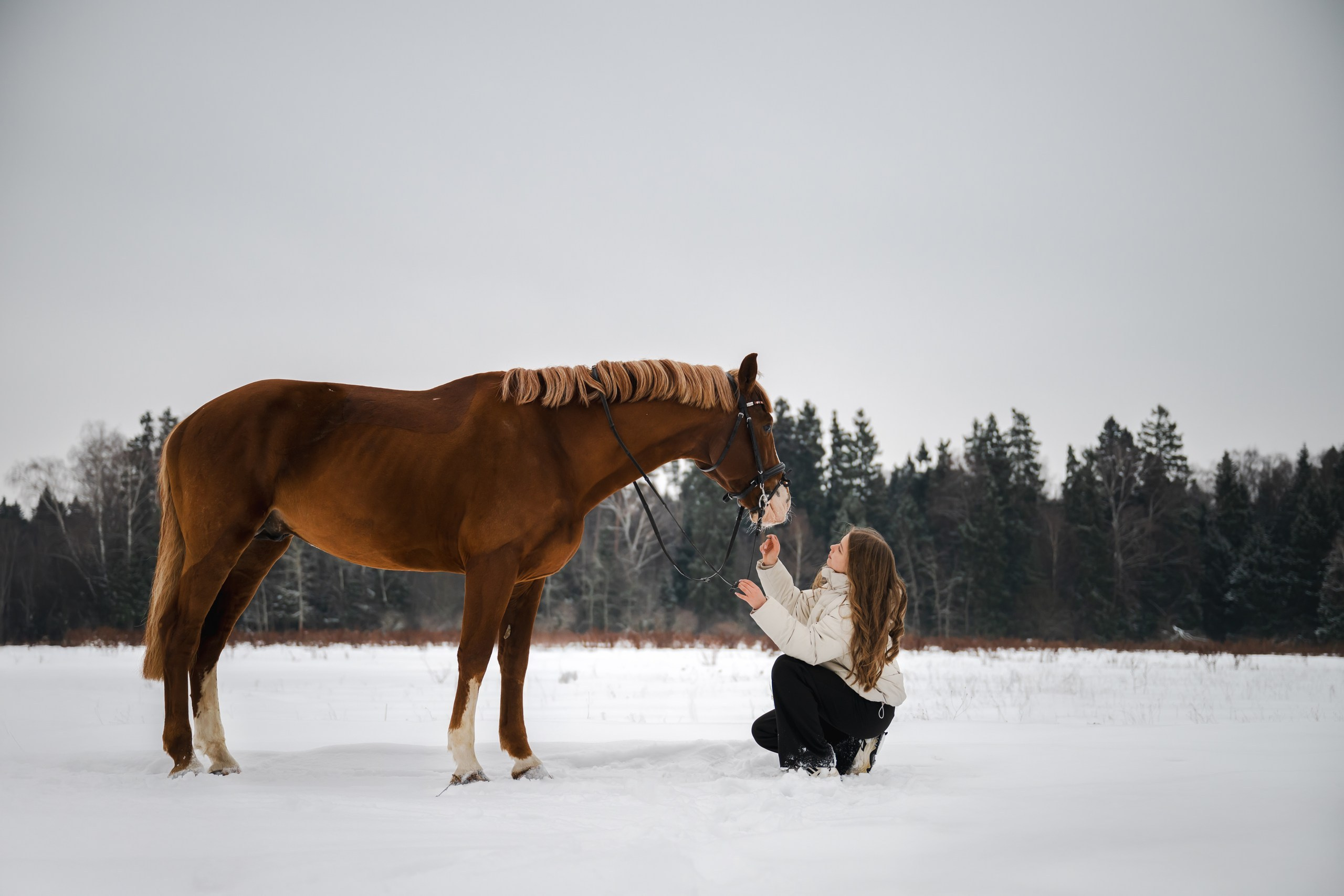 Виктория и Лео. Фотограф Анималист в Москве Анастасия Жучкова