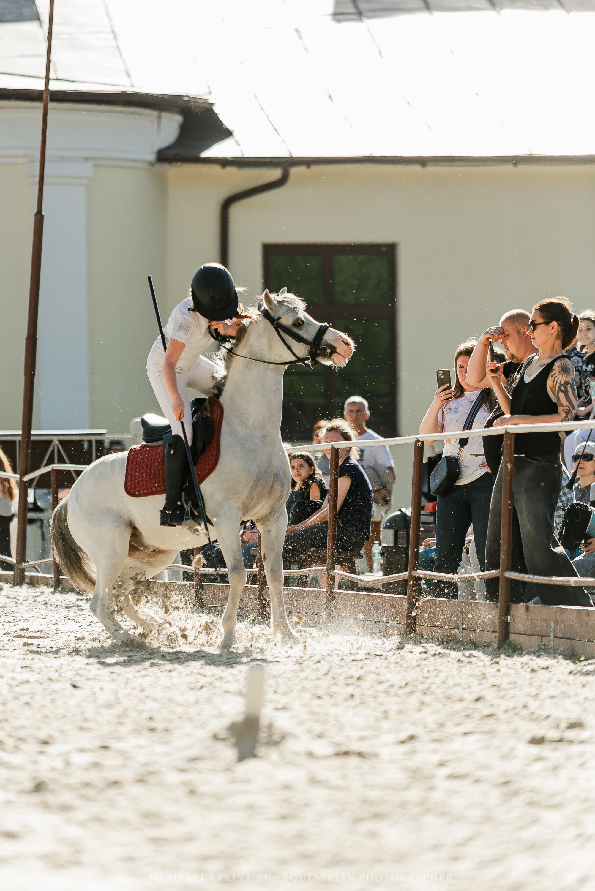 #ПОНИФОРУМ 2024. Конный фотограф Куракина Дарья • Фотосессии с лошадьми
