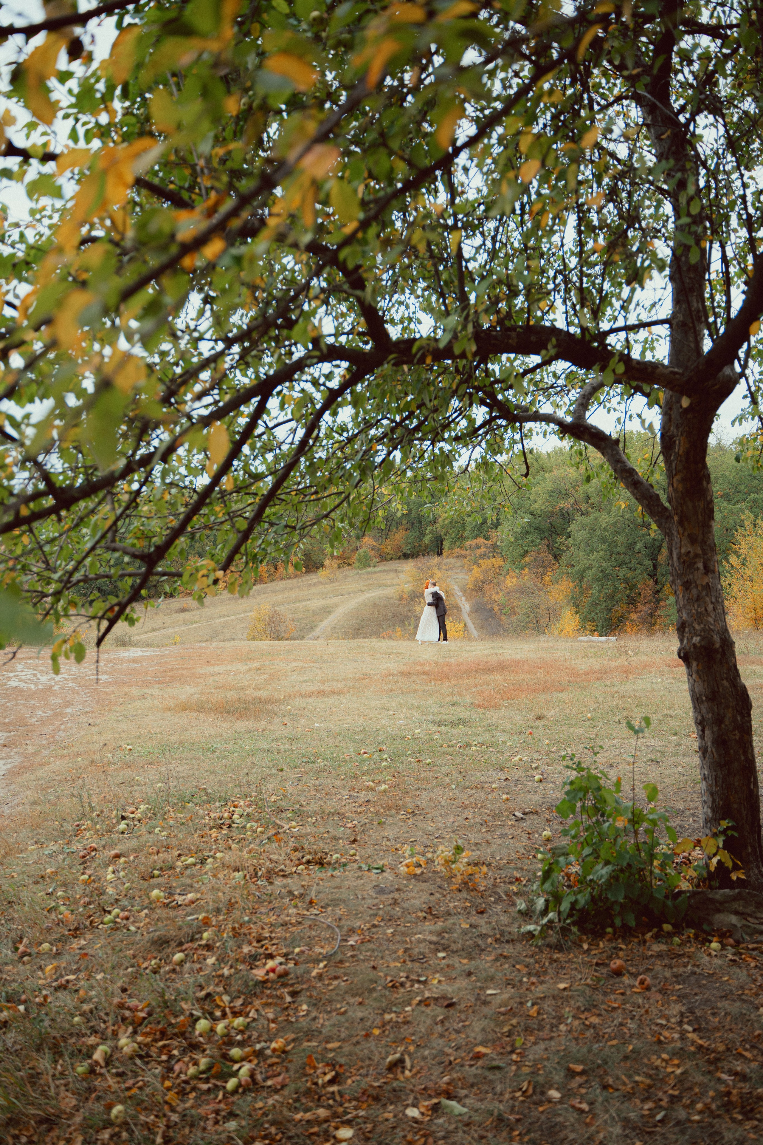 Динамо. Фотограф Мария Зайчик