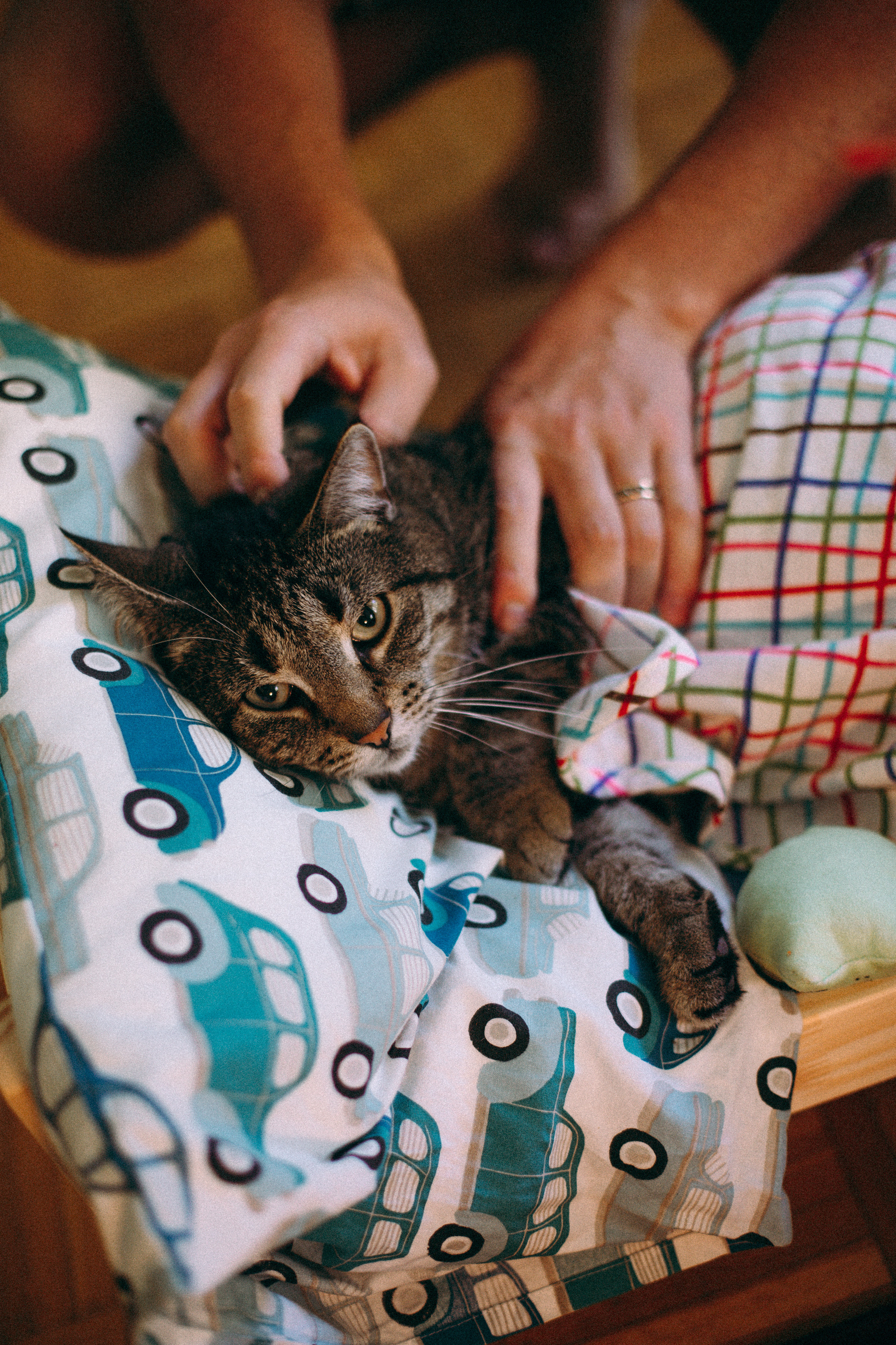 Mia's birthday. Family and portrait photographer Helsinki