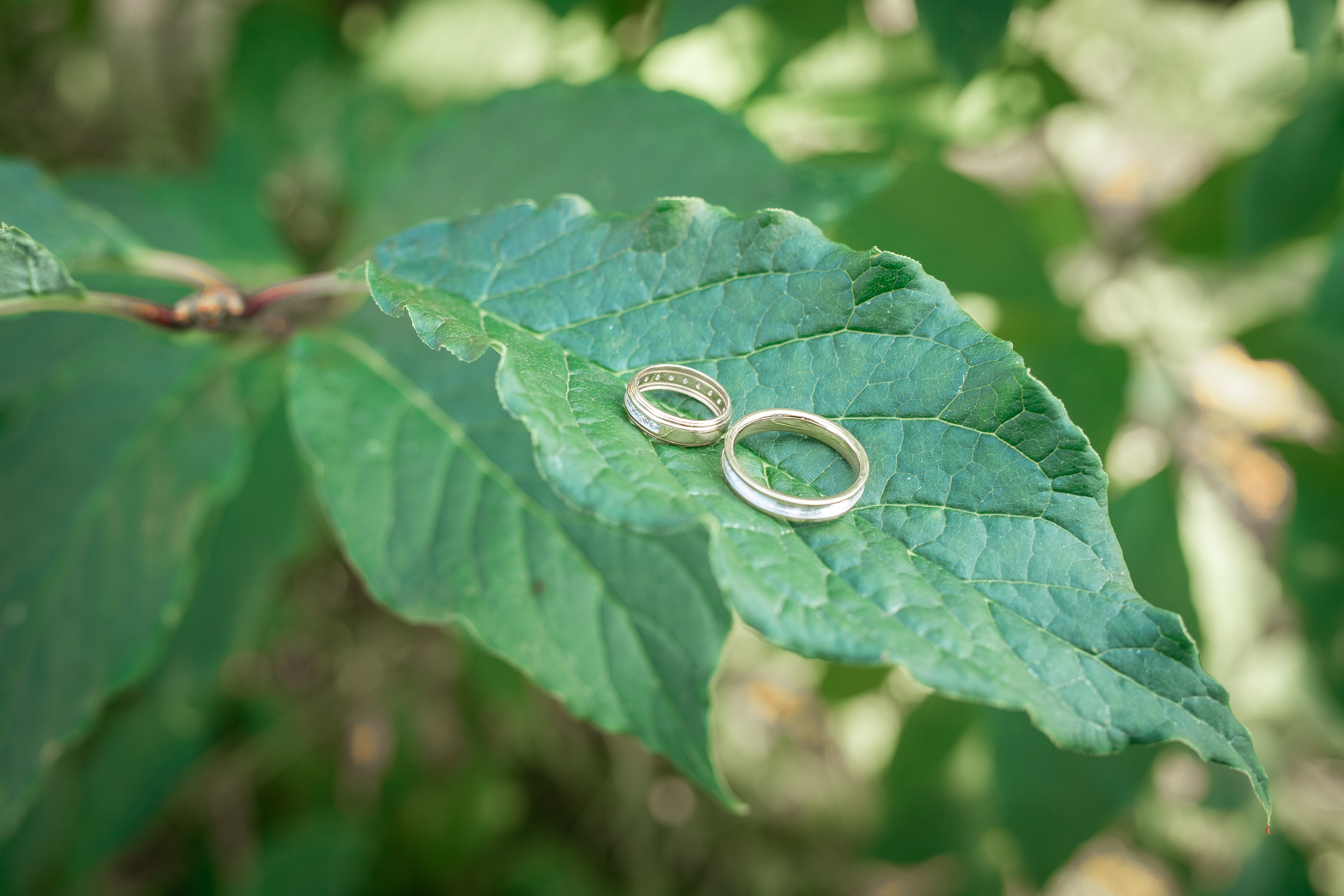 Свадьба Дениса и Ксении. Фотограф Ногинск Электросталь Наталья Осетрова