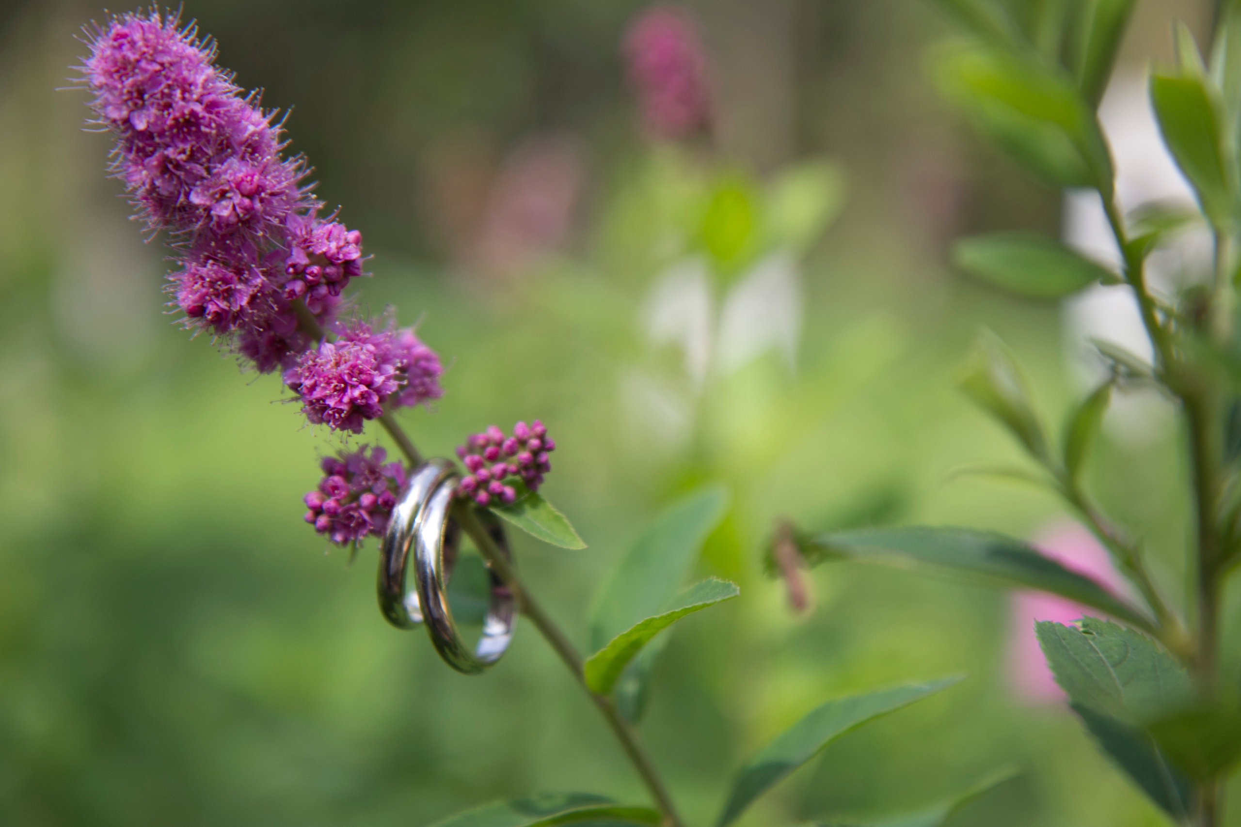 Свадьба Васи и Инги. Фотограф Ногинск Электросталь Наталья Осетрова
