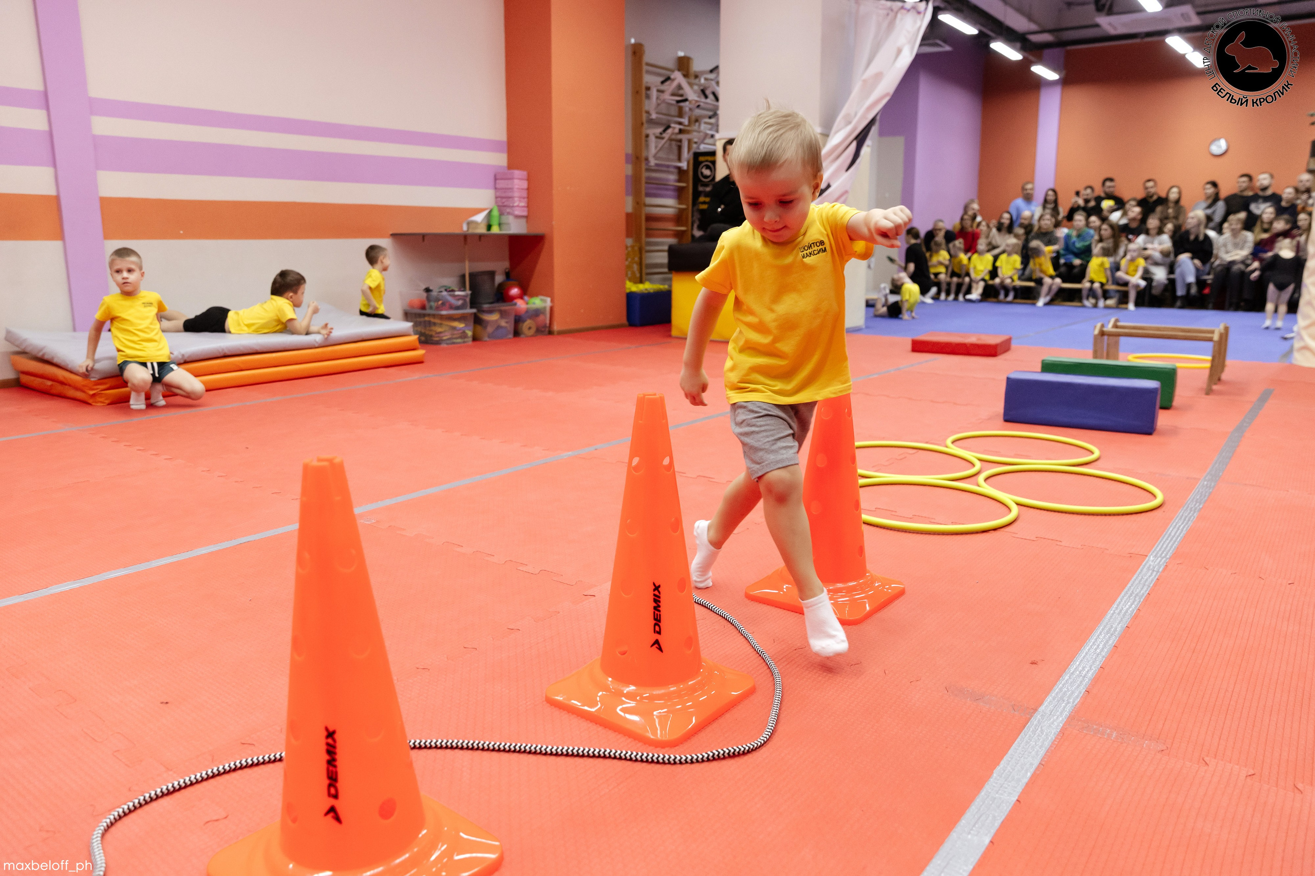 Белый кролик. Соревнования. Семейный фотограф — Макс Белогрудов