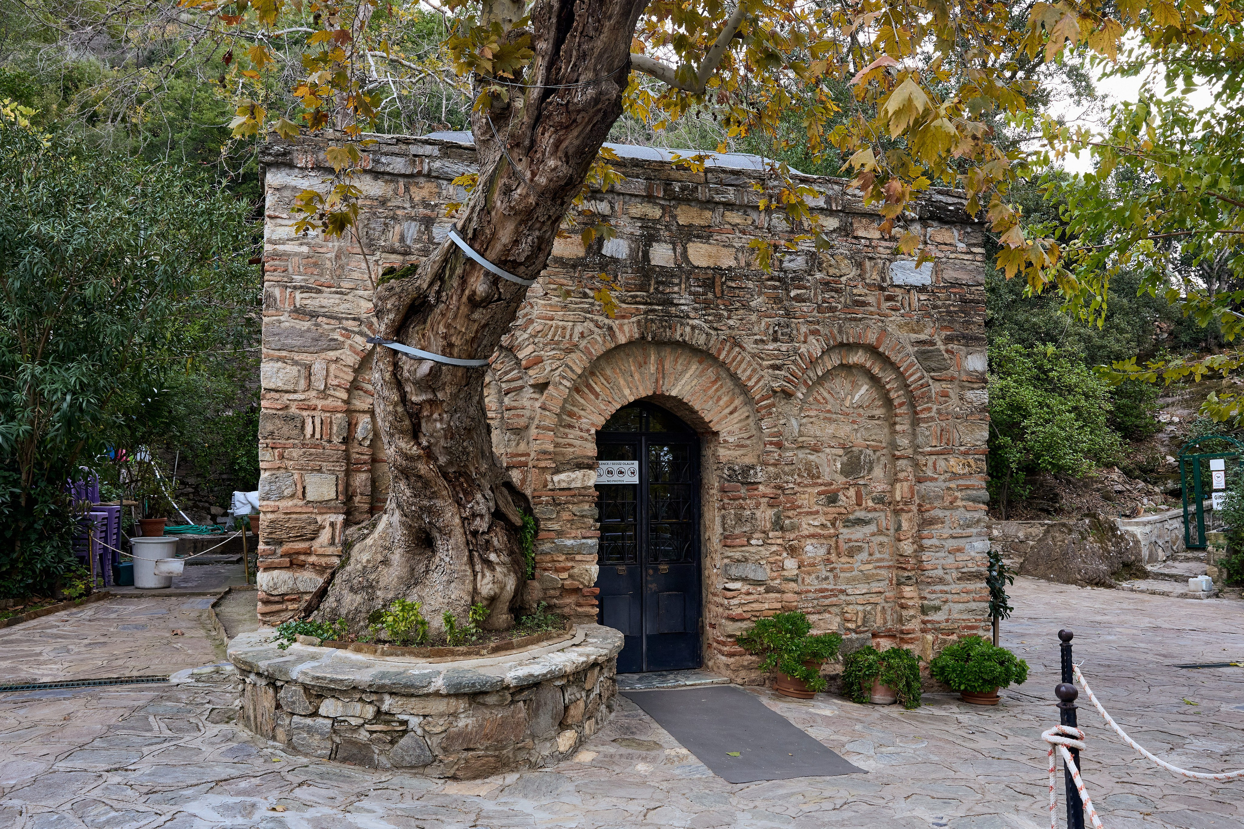 Эфес. Фото департамент круизного лайнера Астория Гранде