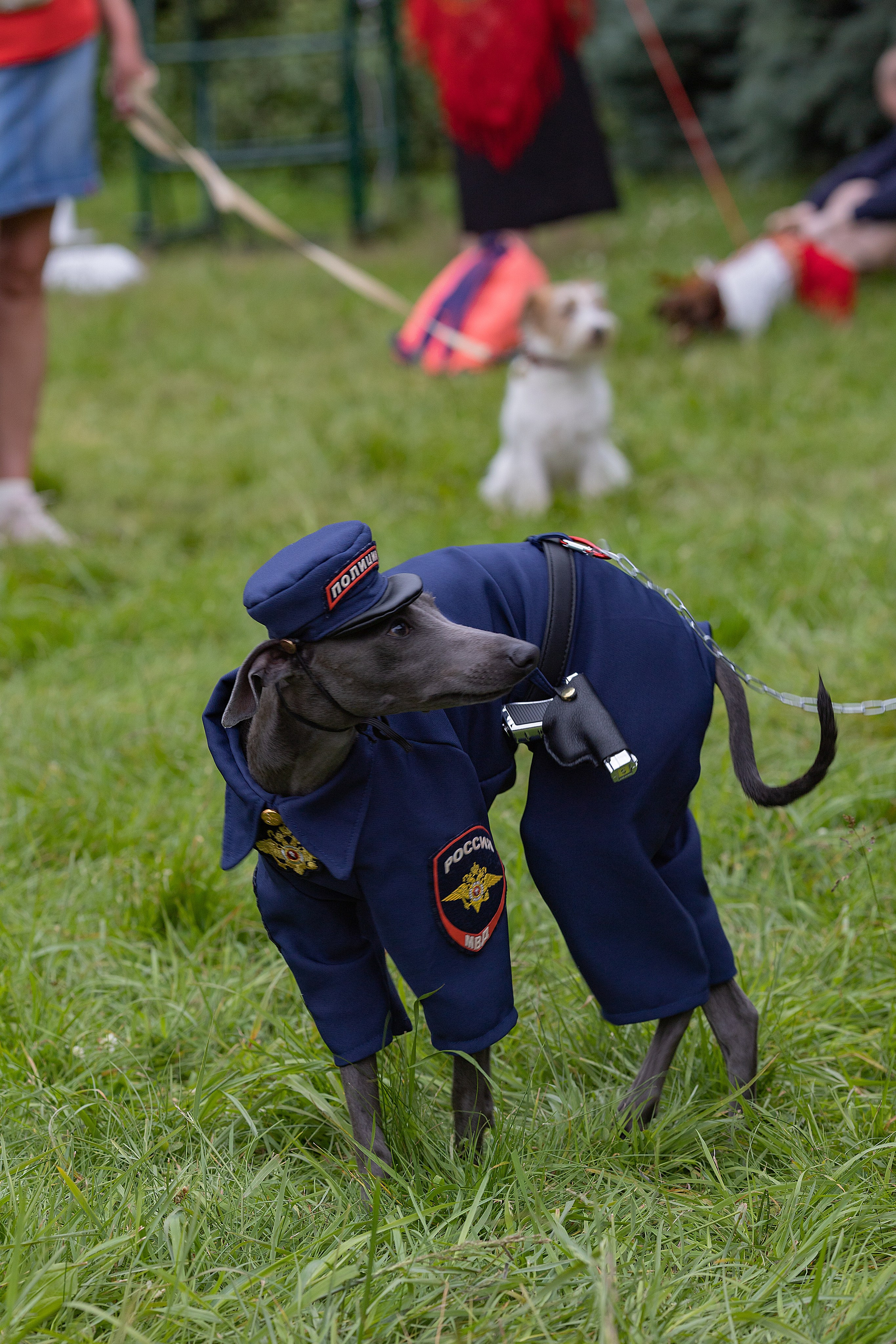 Petshop Days 2026. Репортажный фотограф