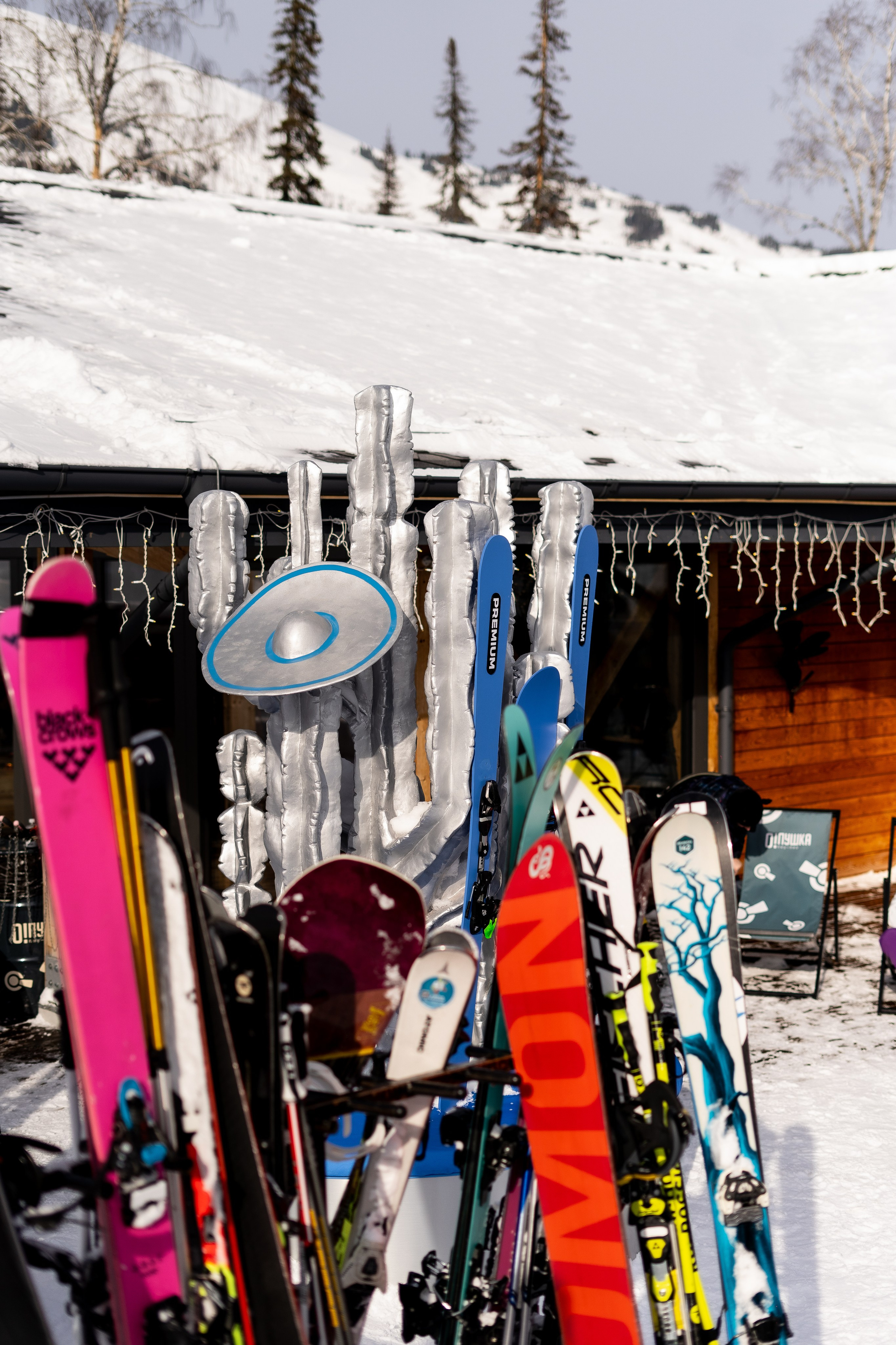 Т-Банк. Анастасия Паршукова — фотограф Шерегеш Новосибирск