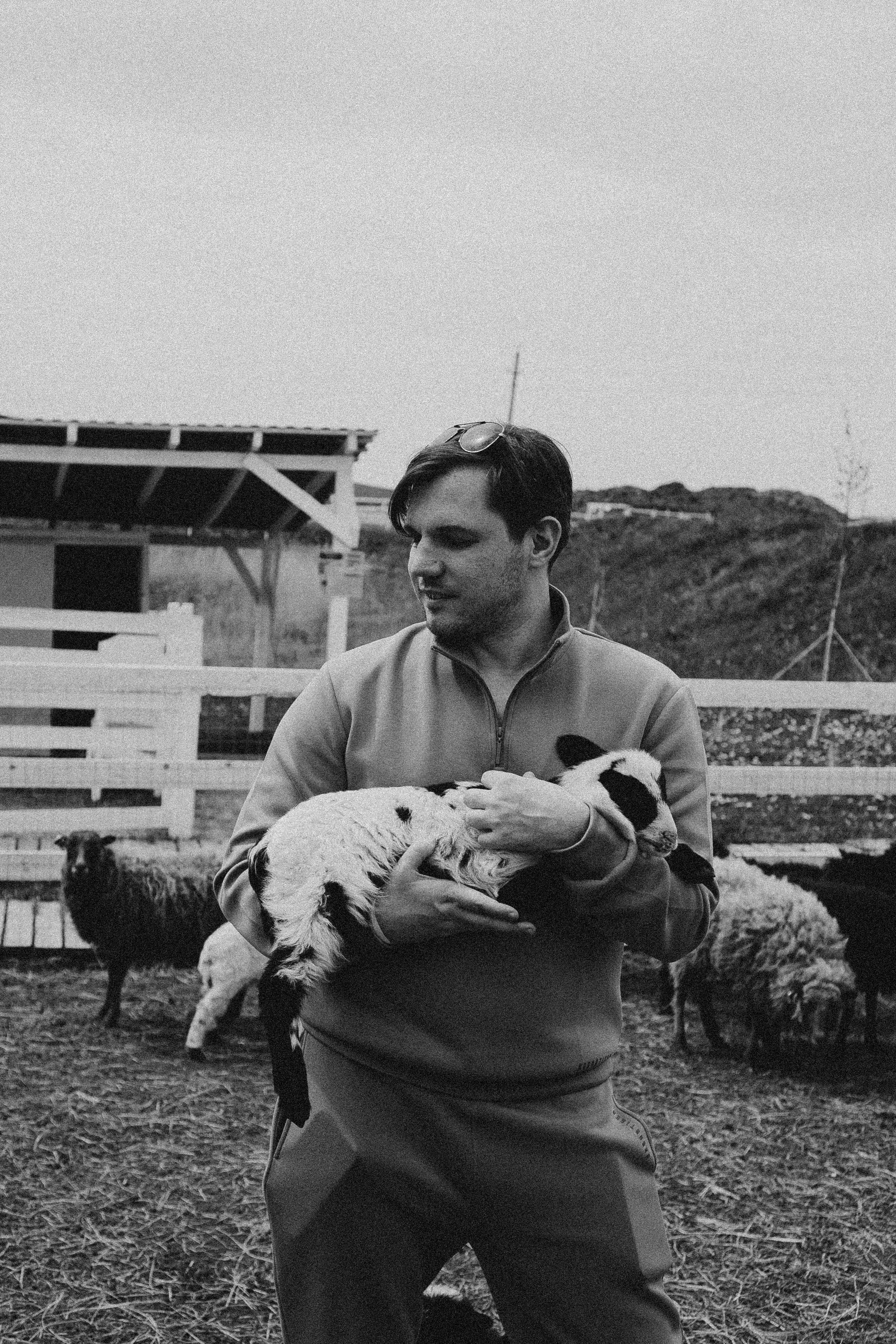 Ферма Альпак. Профессиональный фотограф, Санкт-Петербург — Виктория Богомолова