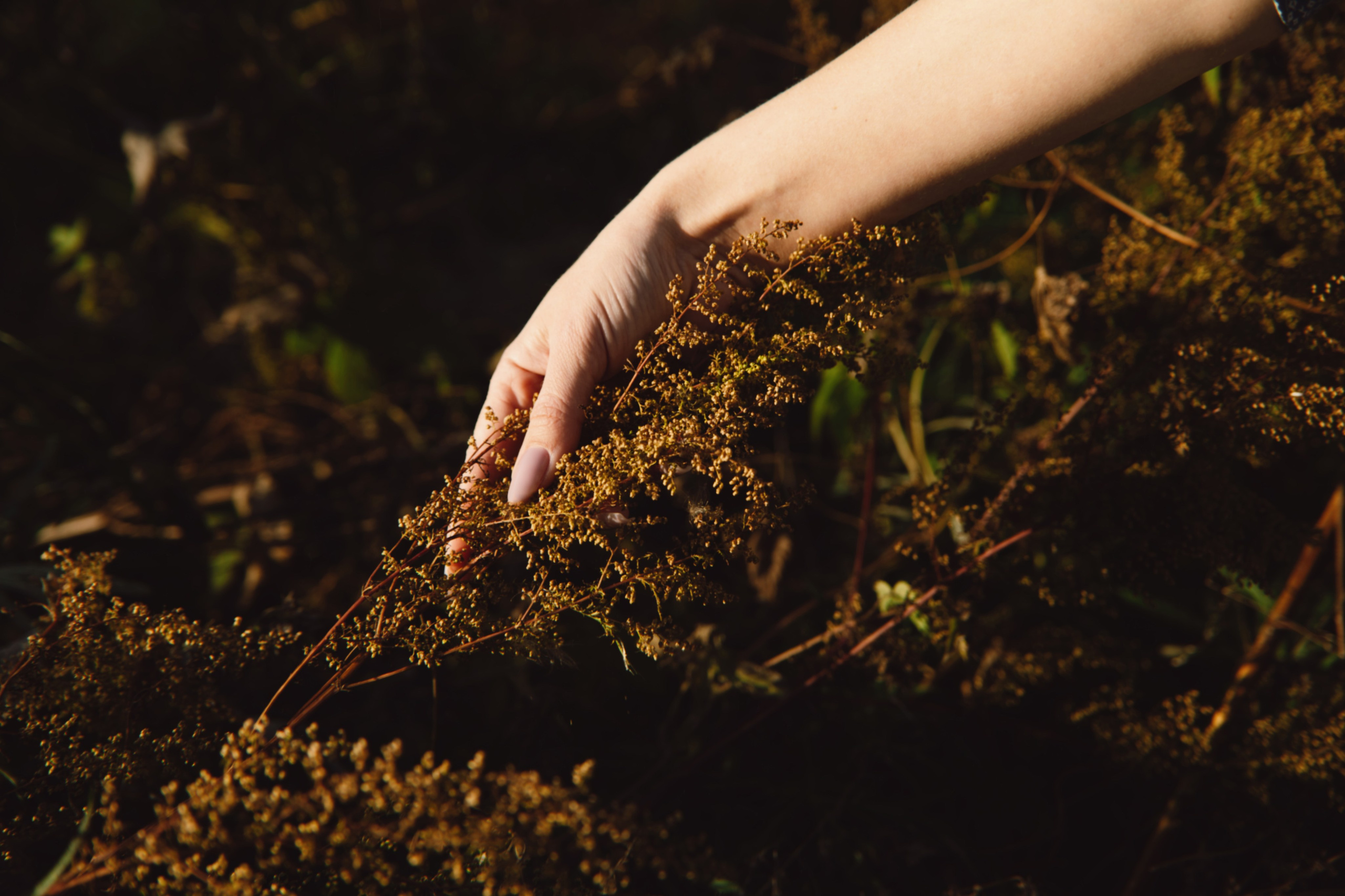 Прогулка. Фотосъёмка осенью. Женский портрет. Арт-фотограф. Фотосъемка, авторские принты для интерьера