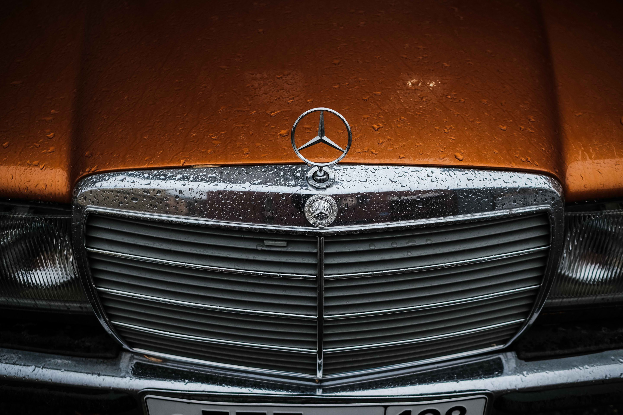 2021.11. Фотограф Алексей Алексеев