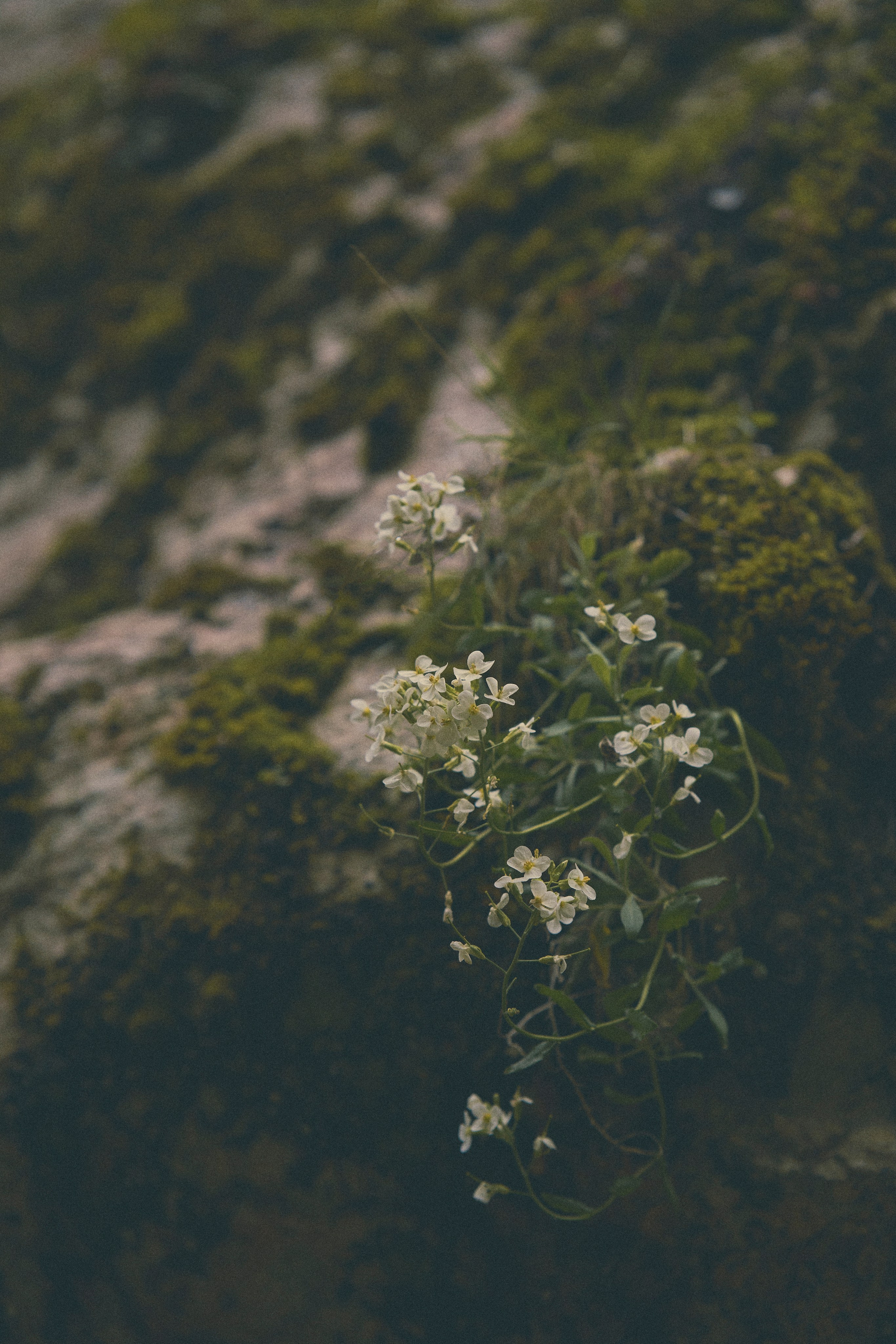 Krasnodar. Гасанова Алина|Фотограф в Санкт-Петербурге