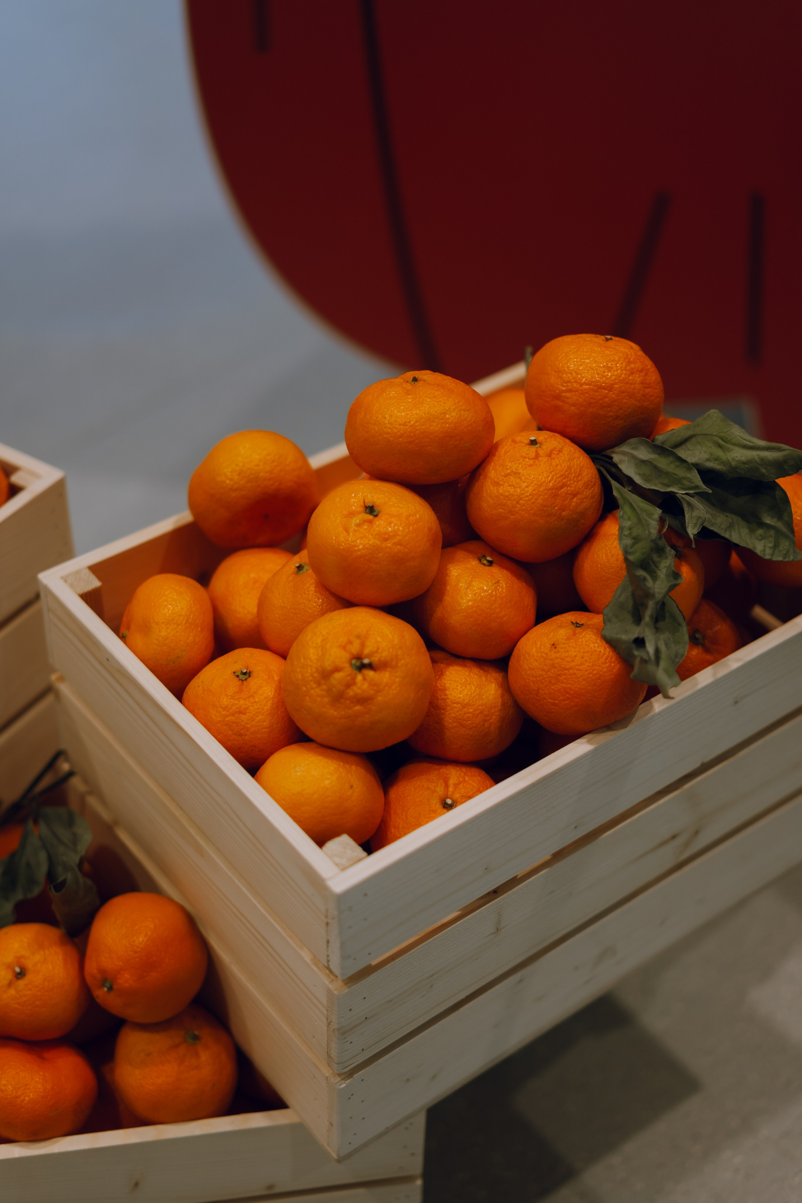 Профразвитие 1 декабря. Фотограф Надежда Погребняк | Рязань | Москва