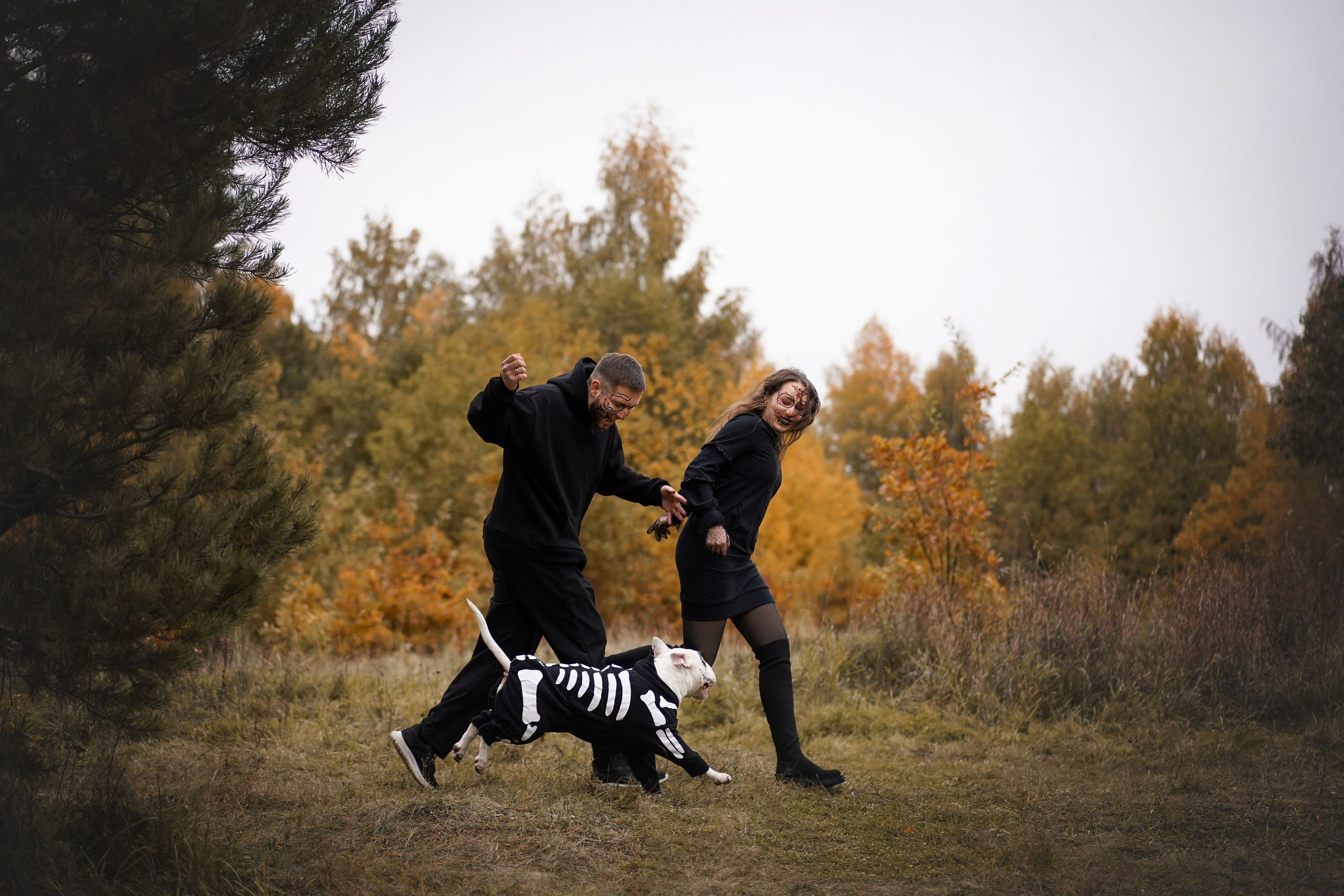 Настя Рома и Сахар Хелоуин. Фотограф-анималист в Санкт-Петербурге Яна Мартынова