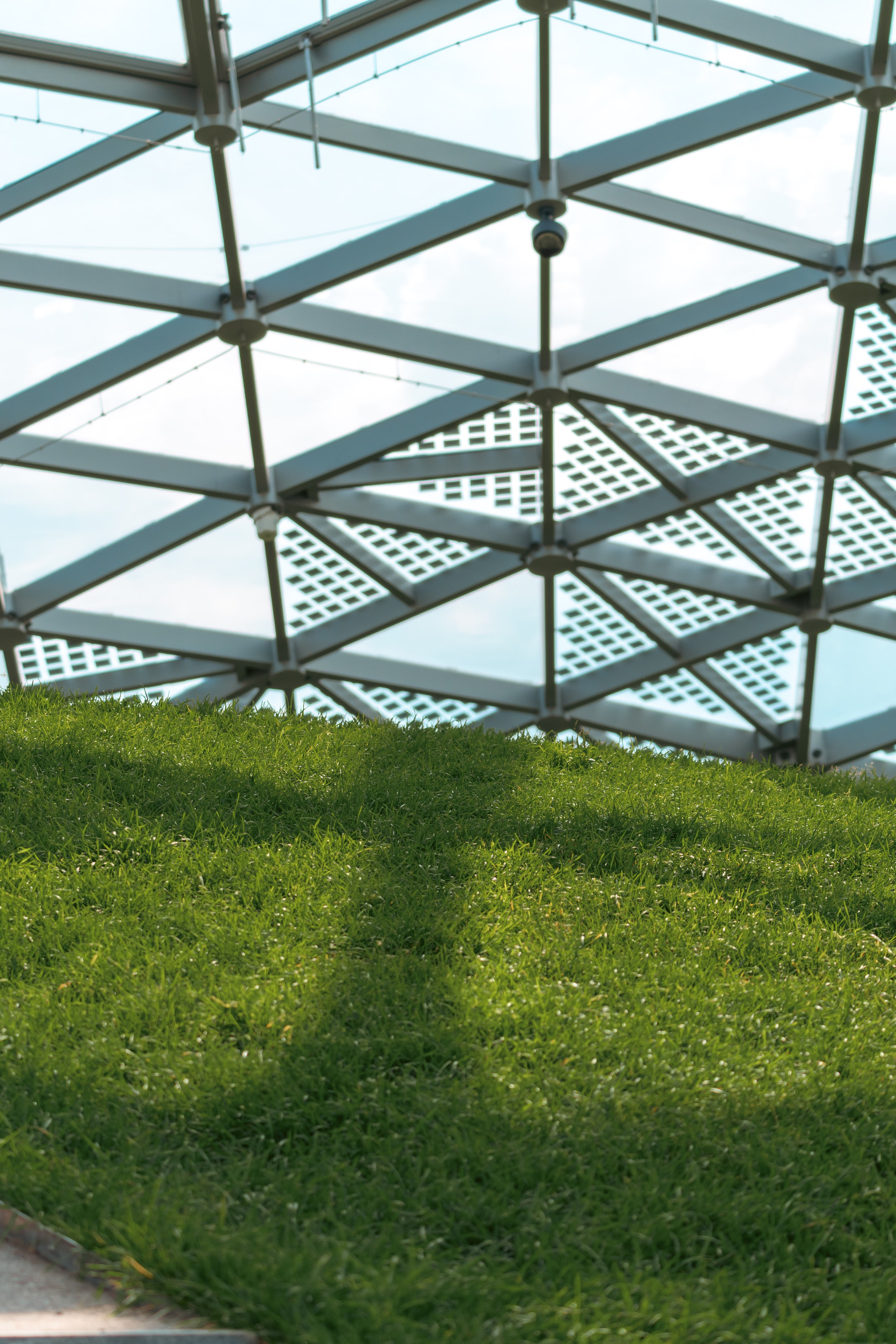 Москва. Фотограф в Санкт-Петербурге Ибрагимова Алина