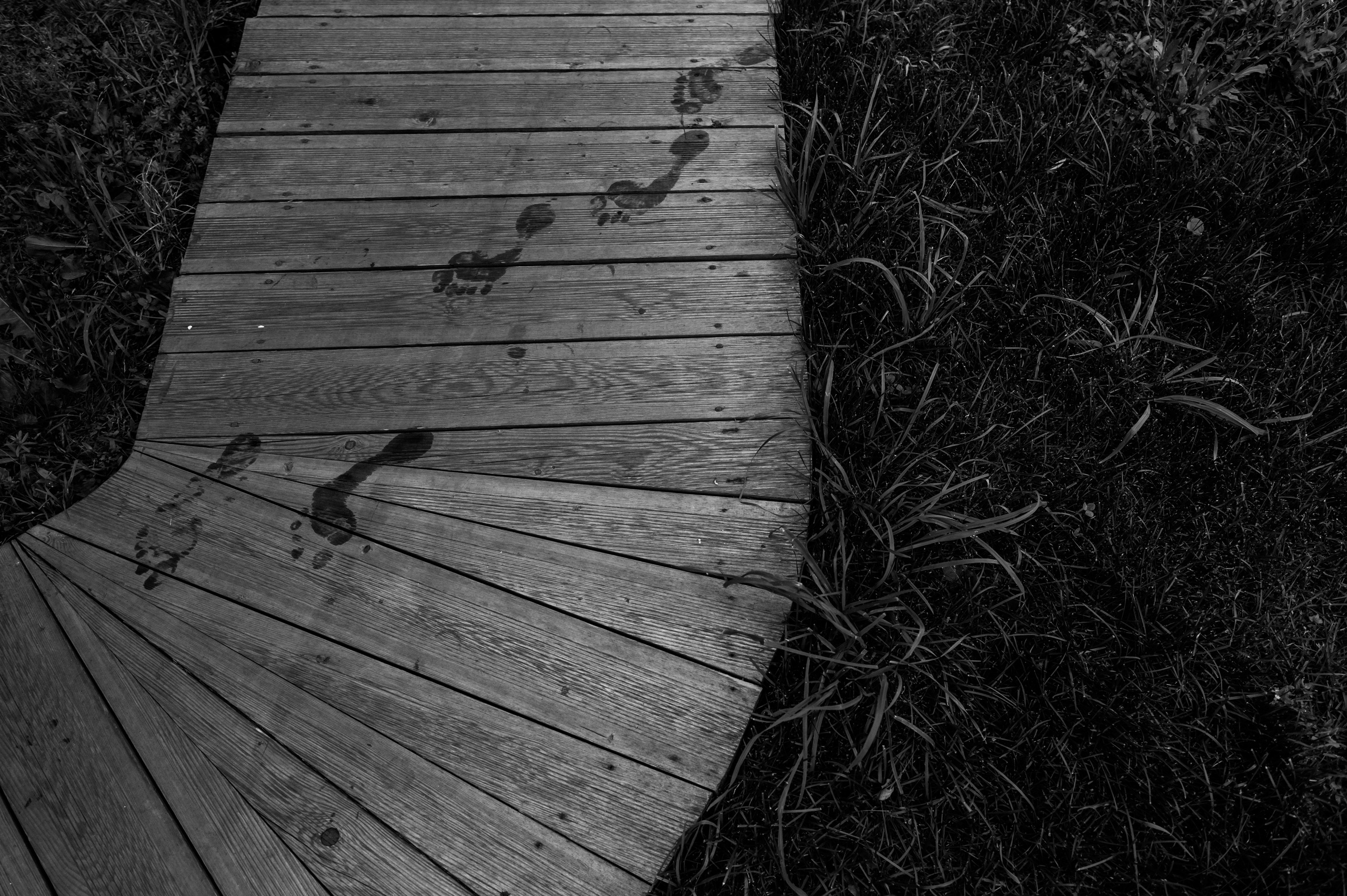 Лейла и Руслан