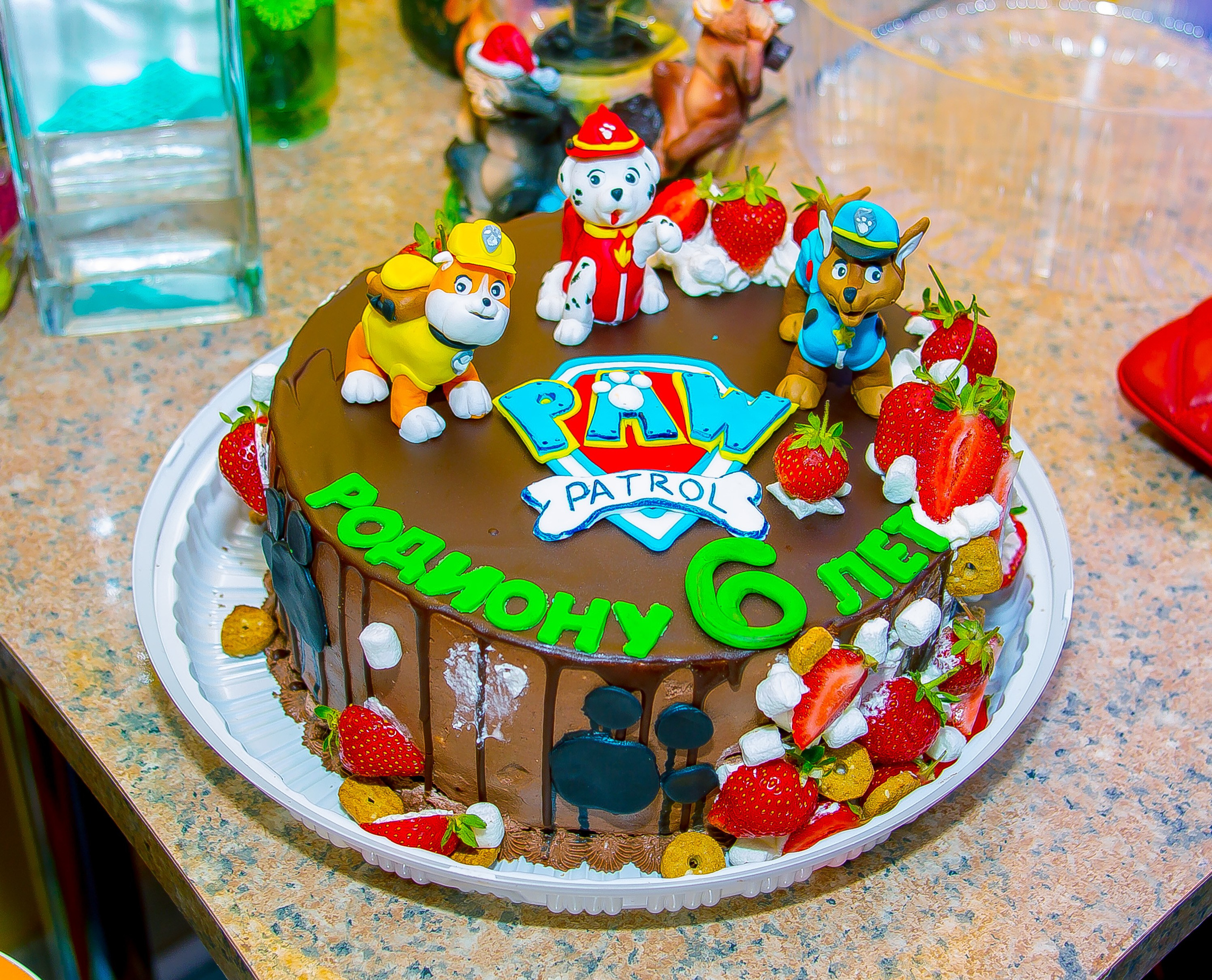 День рождения Родиона (6 лет)