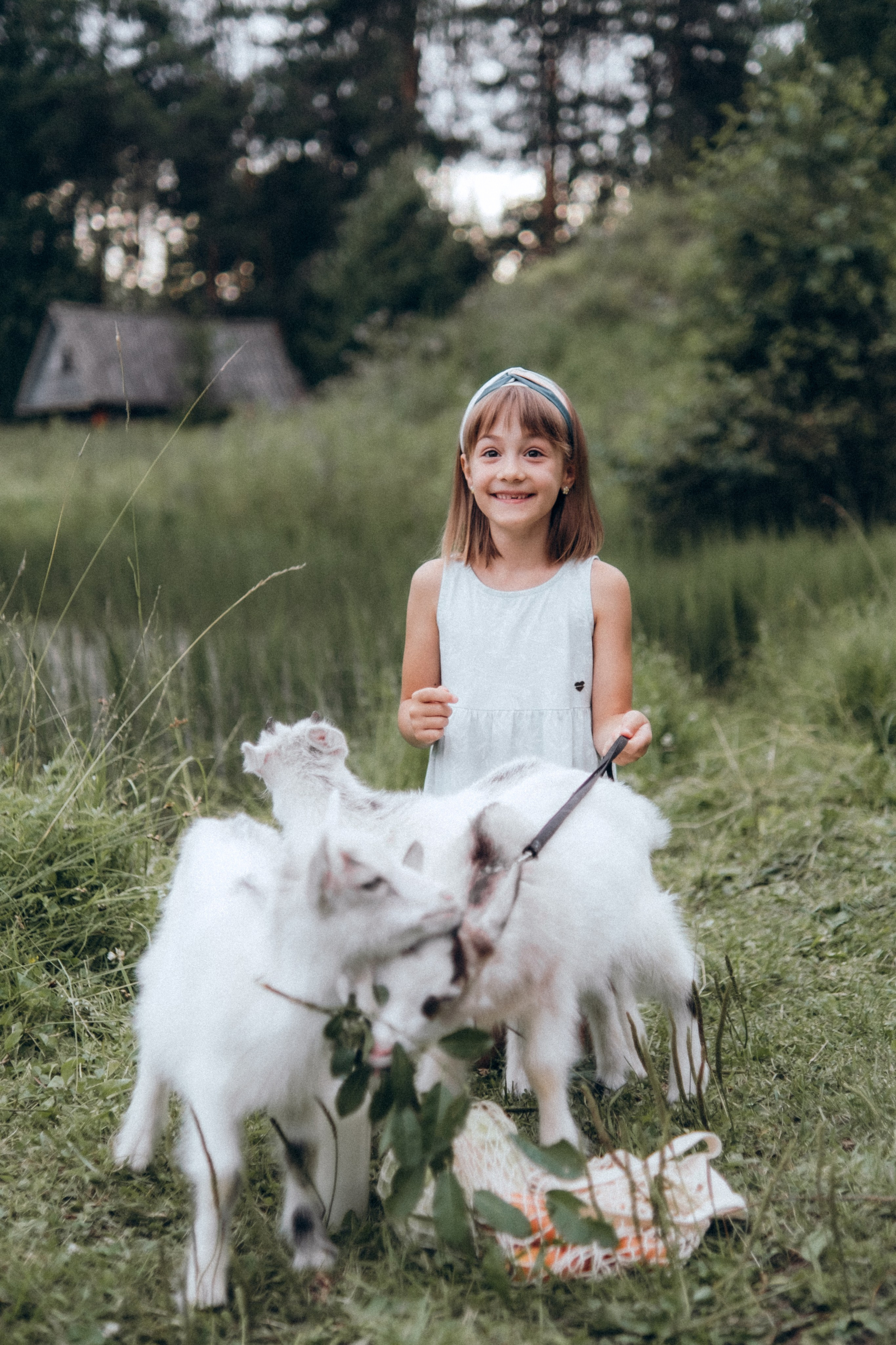 С козочками в Ульяновке. Фотограф в Санкт-Петербурге Кристина Брянская