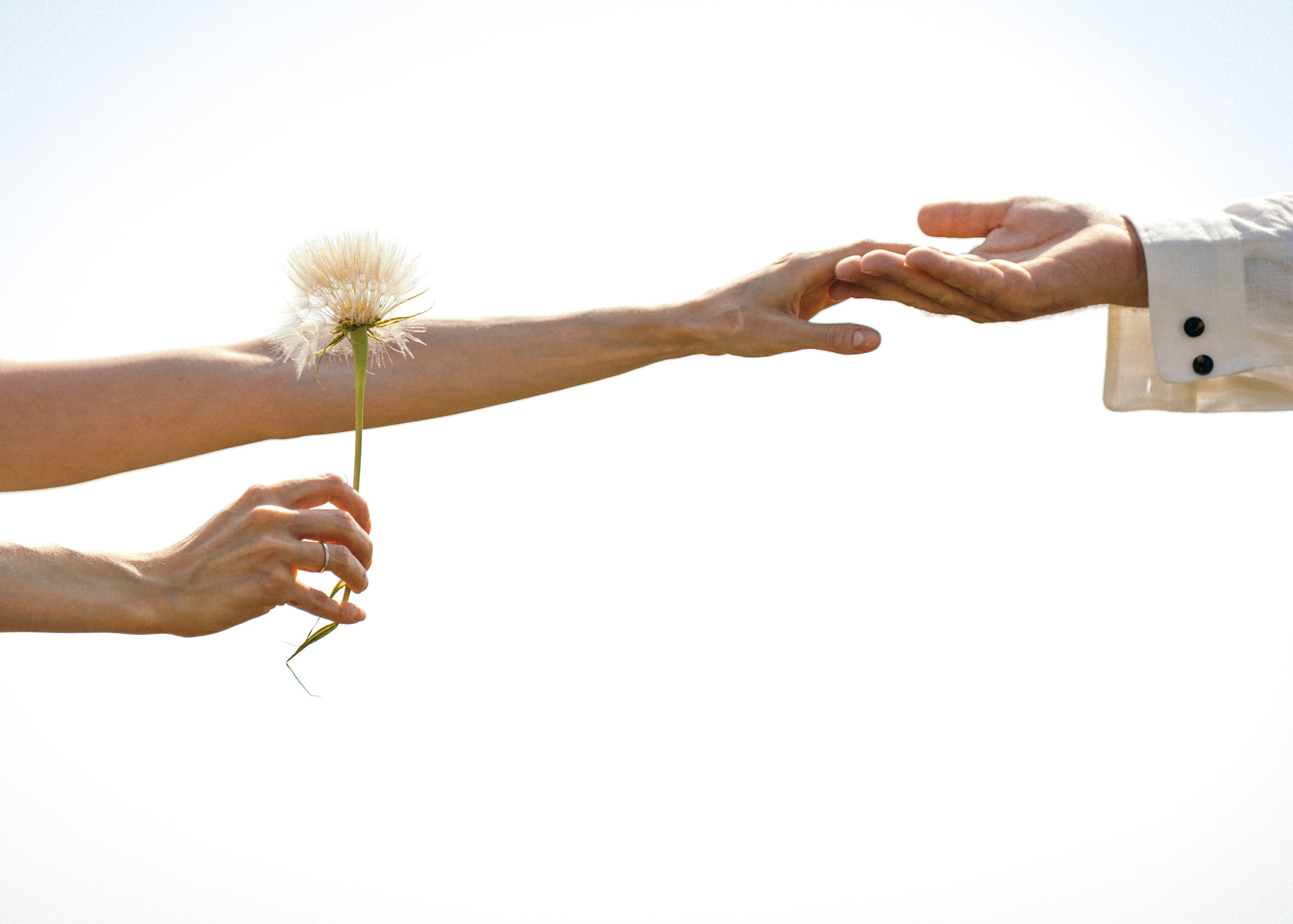 Давай загадаем желание?. Свадебный фотограф в Краснодаре и Сочи Винидиктова Екатерина