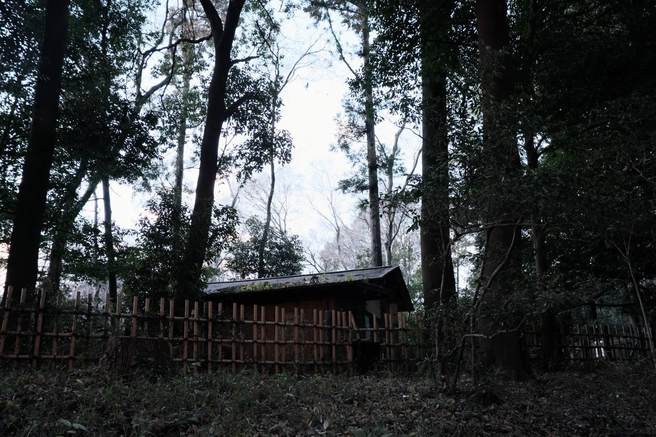 Разноплановый фотограф из Москвы/Твери