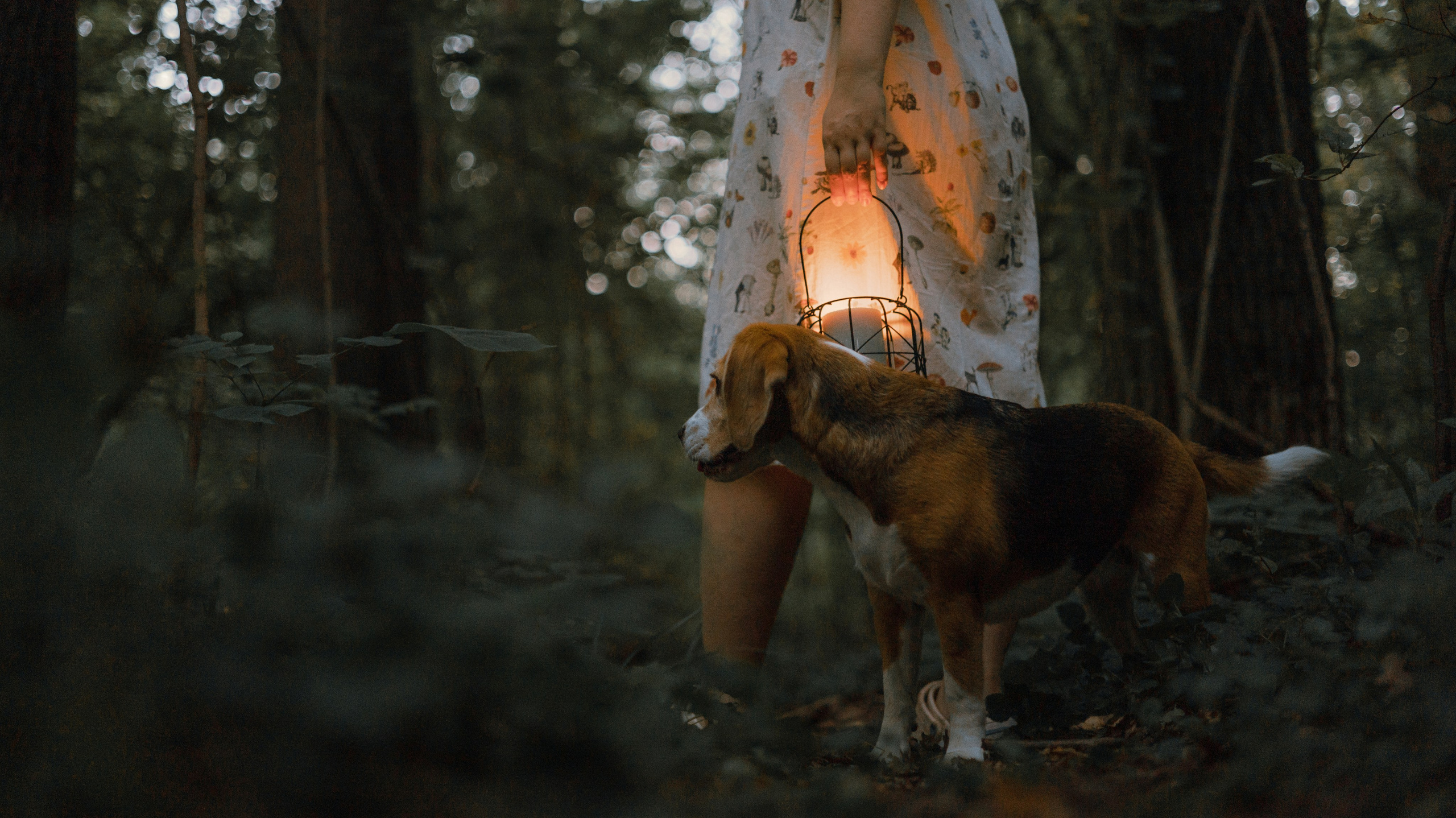 Лиза и Сара. Фотограф-анималист Богданова Полина