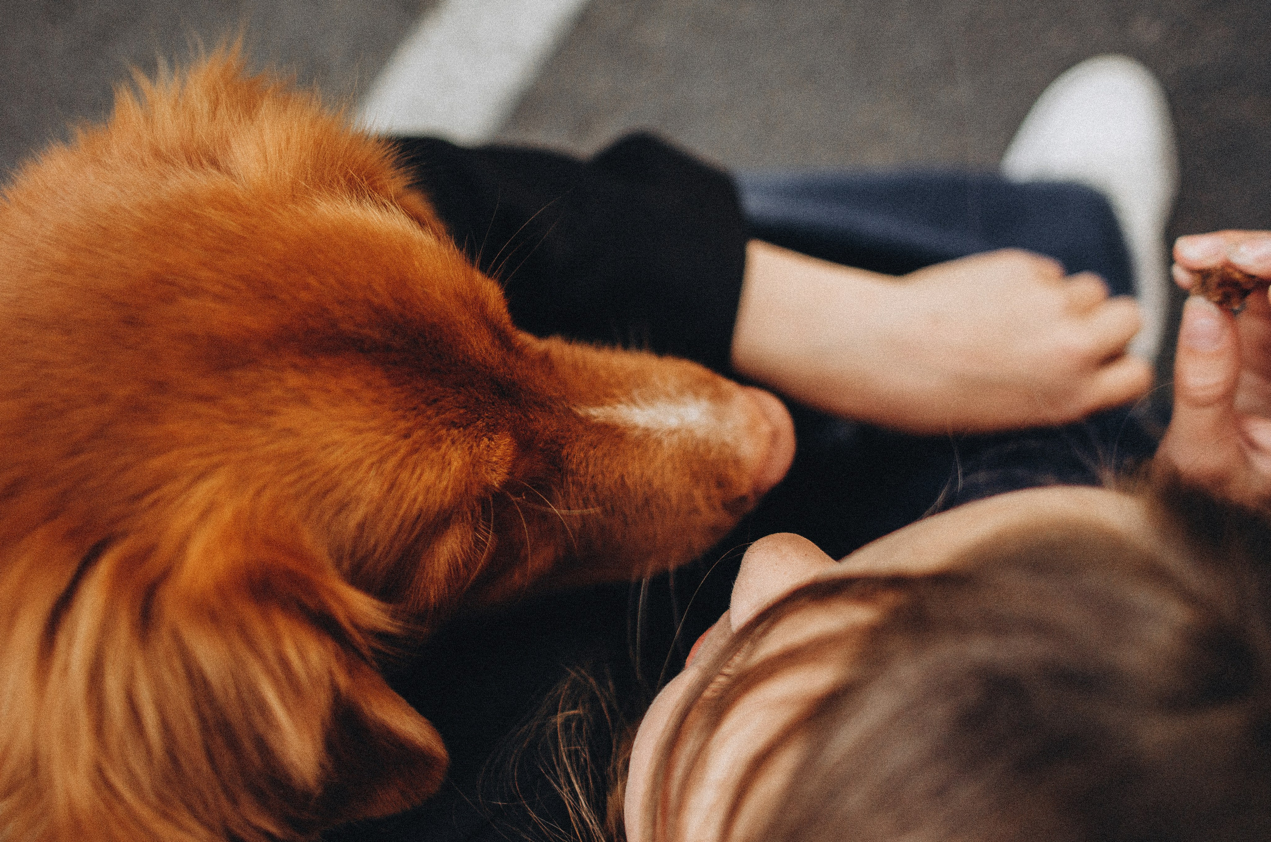 Алина и Бис. Фотограф-анималист Богданова Полина