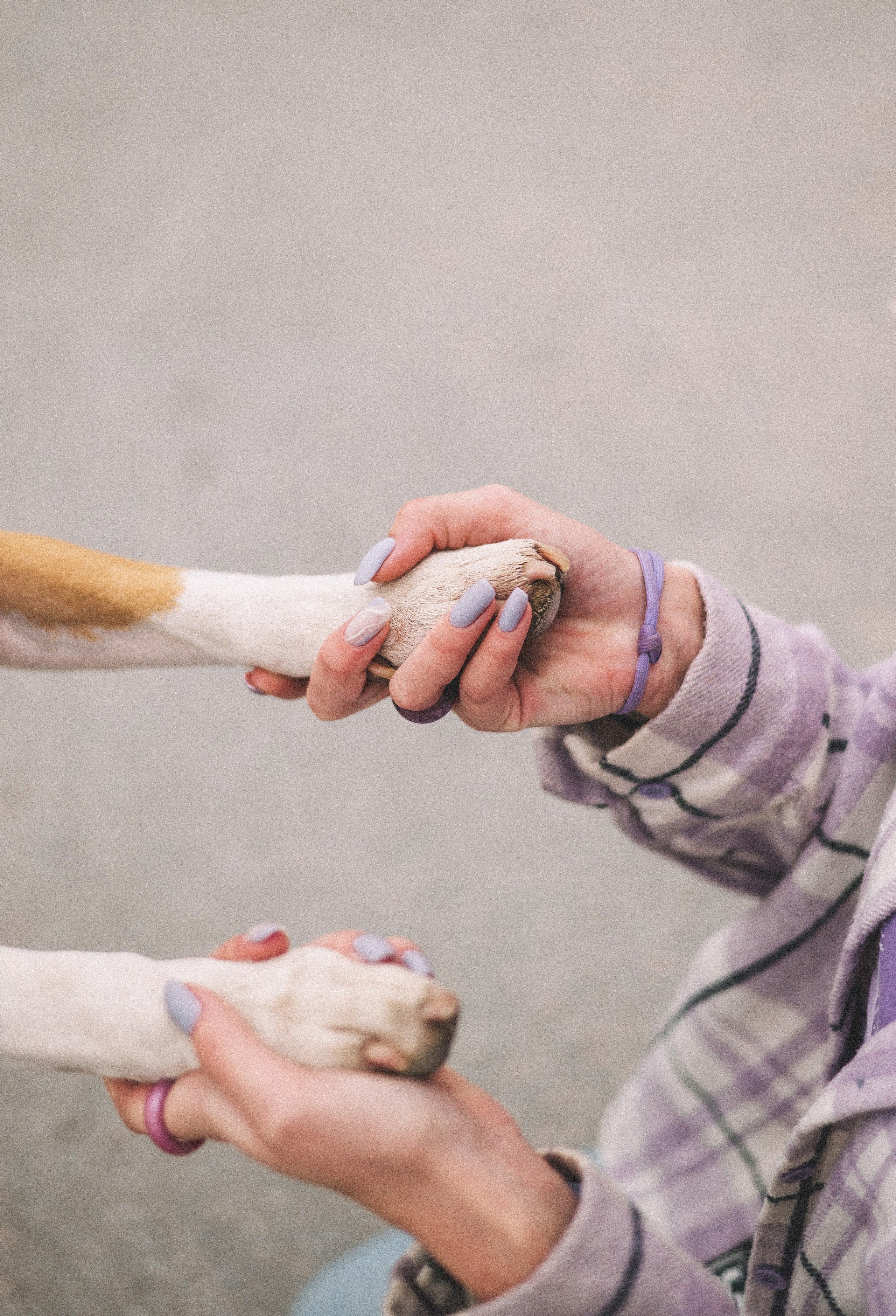 Маша и Рулька. Фотограф-анималист Богданова Полина