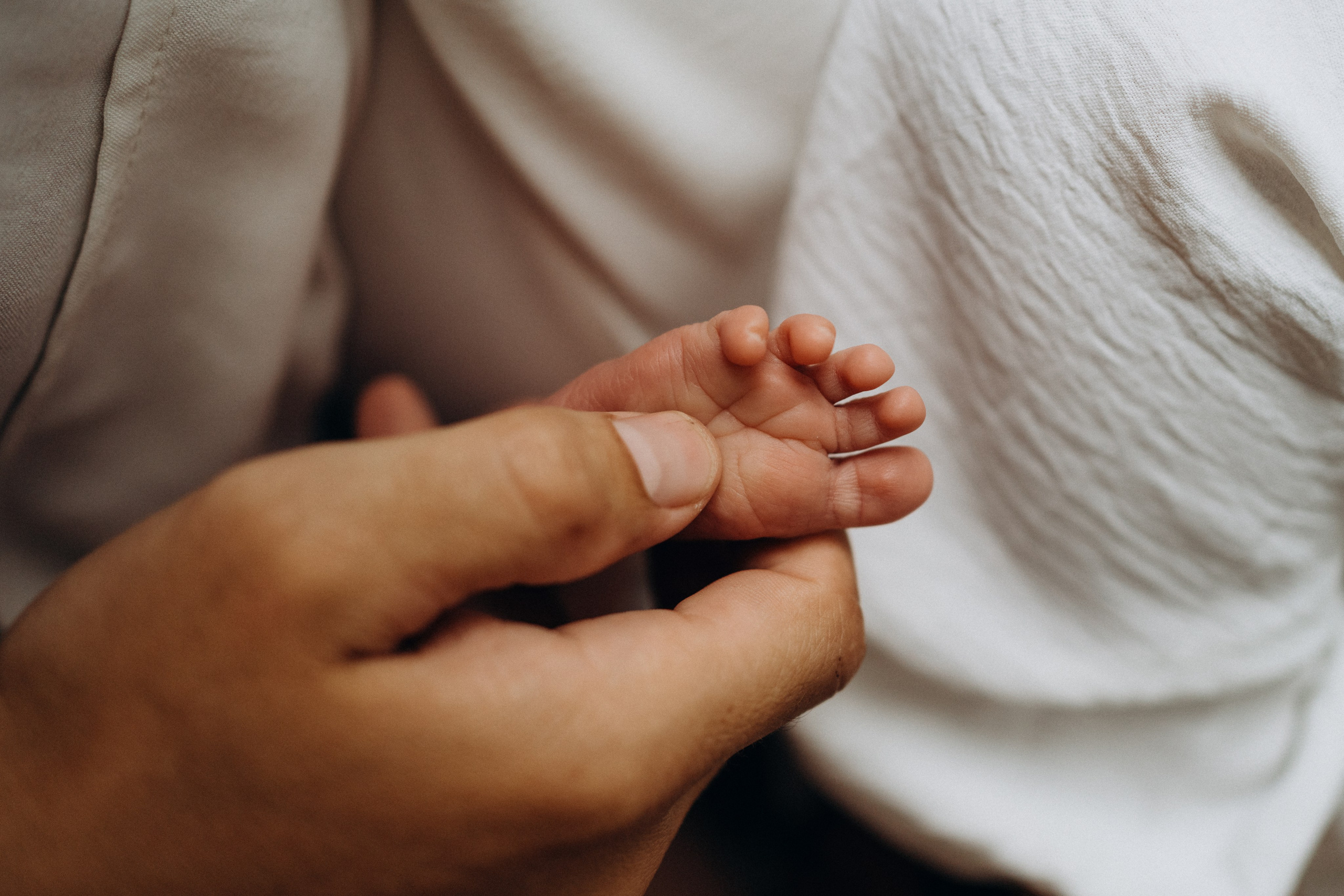 Фитисова Екатерина