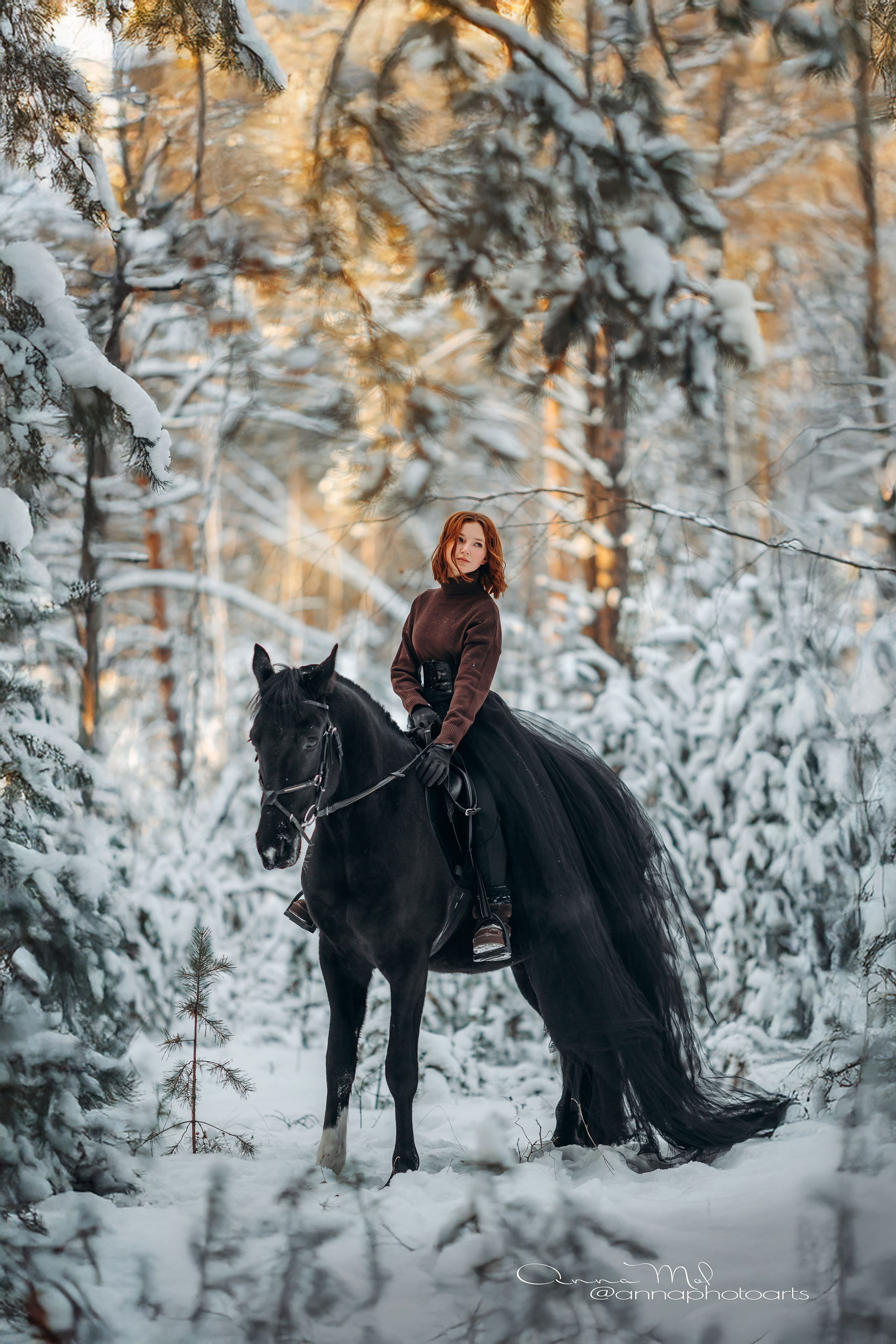 Анна Молчанова конный фотограф в Тюмени | фотосессии с лошадьми Тюмень