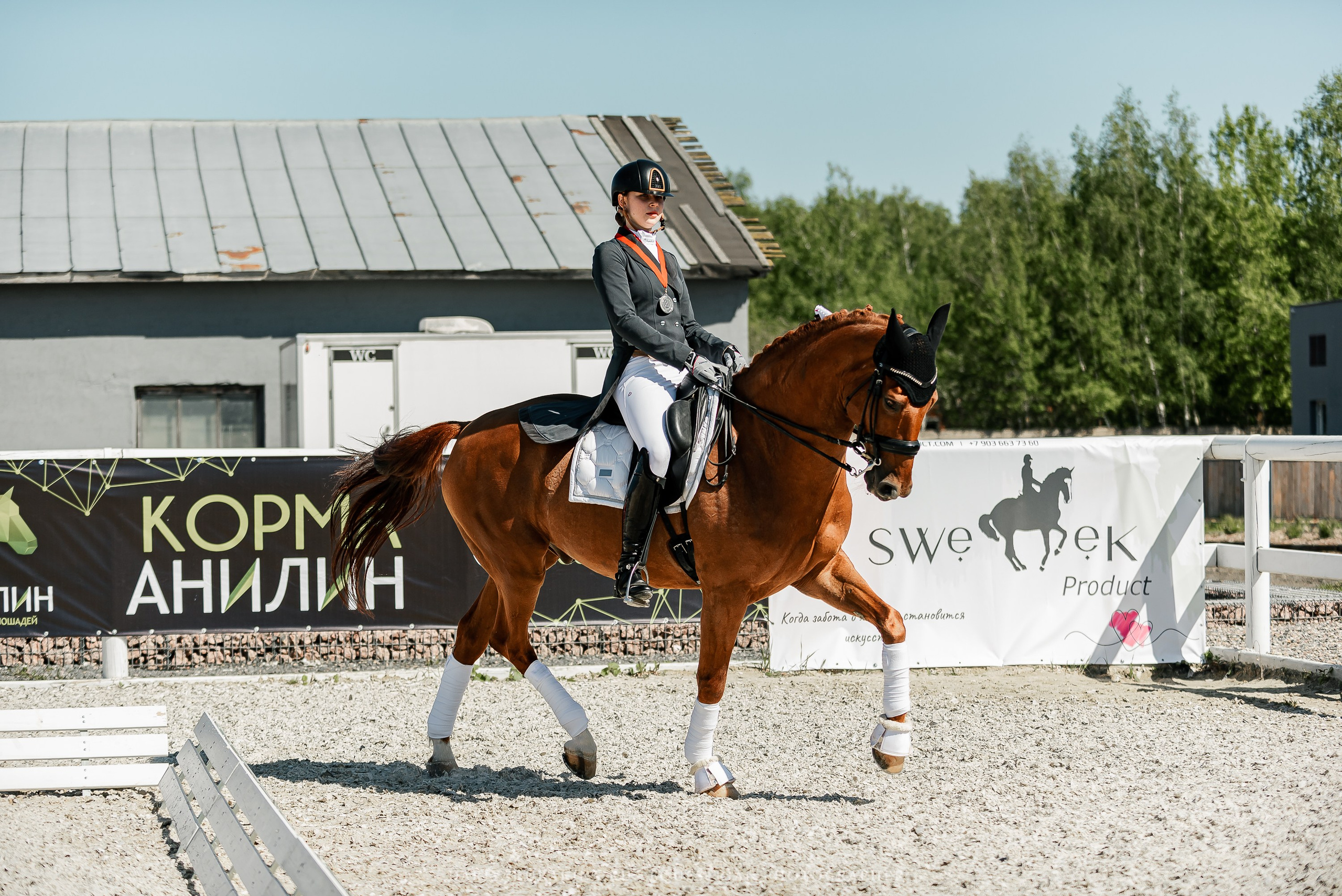 РЕПОРТАЖ МКК ВОЛЬТ «LA TULIPS». Конный фотограф Куракина Дарья • Фотосессии с лошадьми