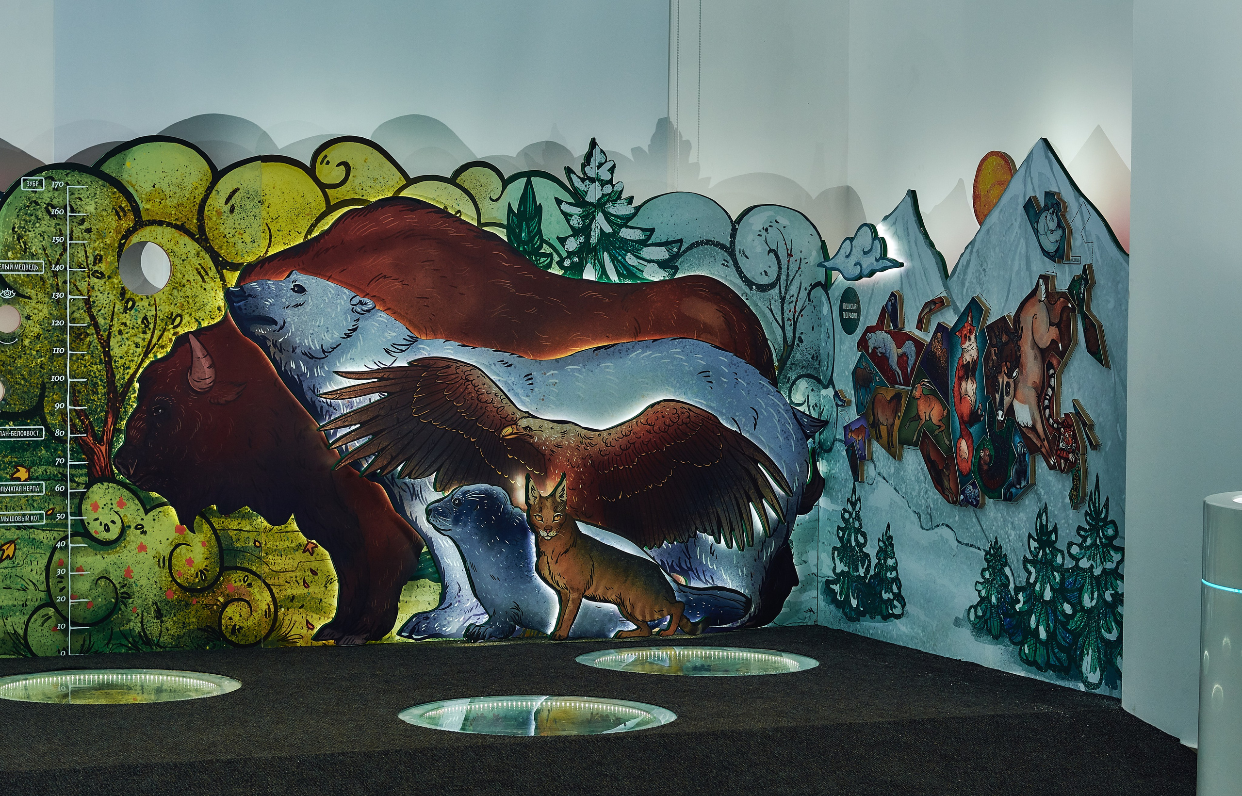 Интерьерная съемка Визит-центр Национальный парк «Кисловодский». Константин Кордонский | Интерьерный и food-фотограф в Кисловодске и КМВ