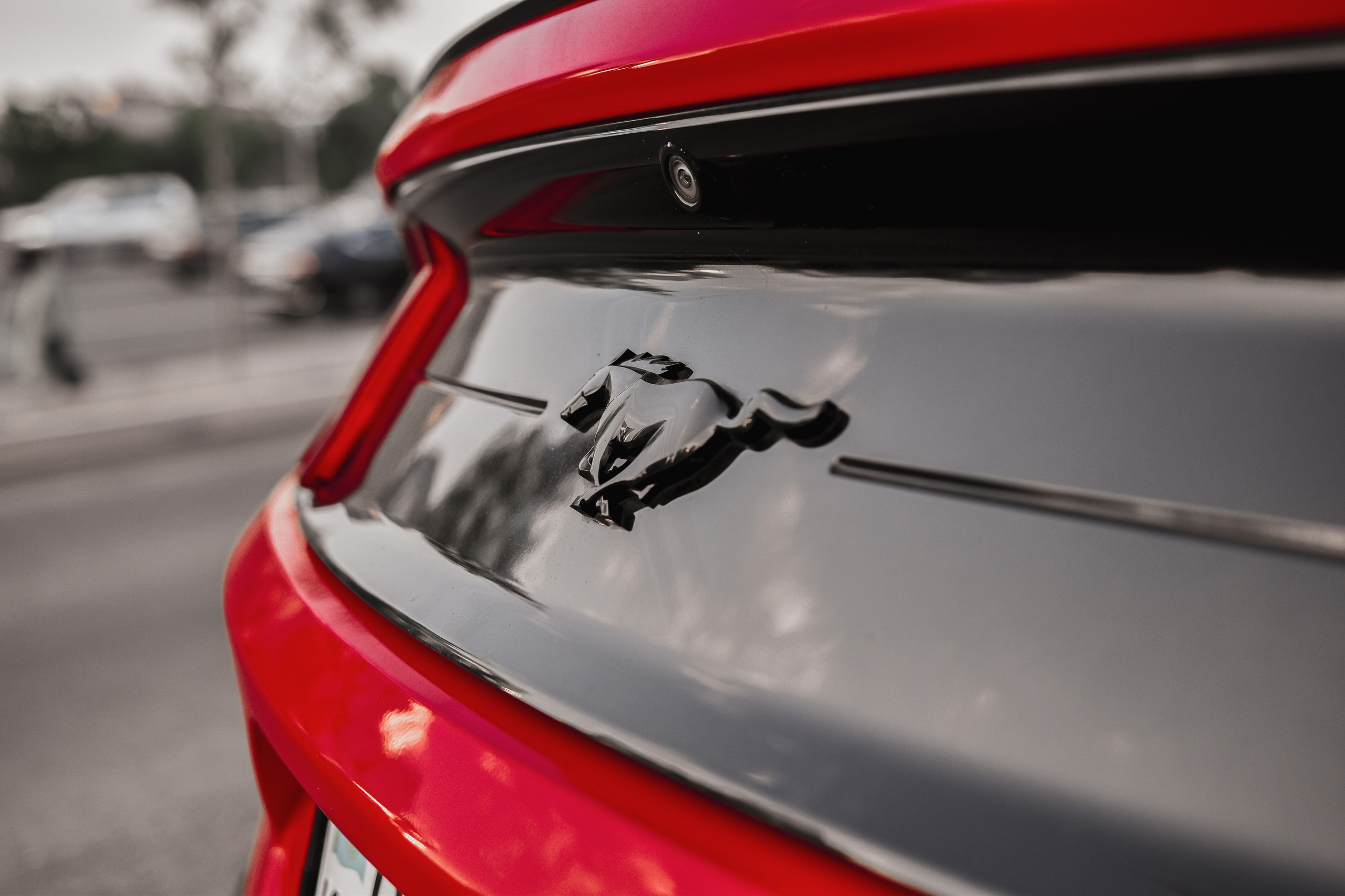 Авто. Фотограф в Алматы