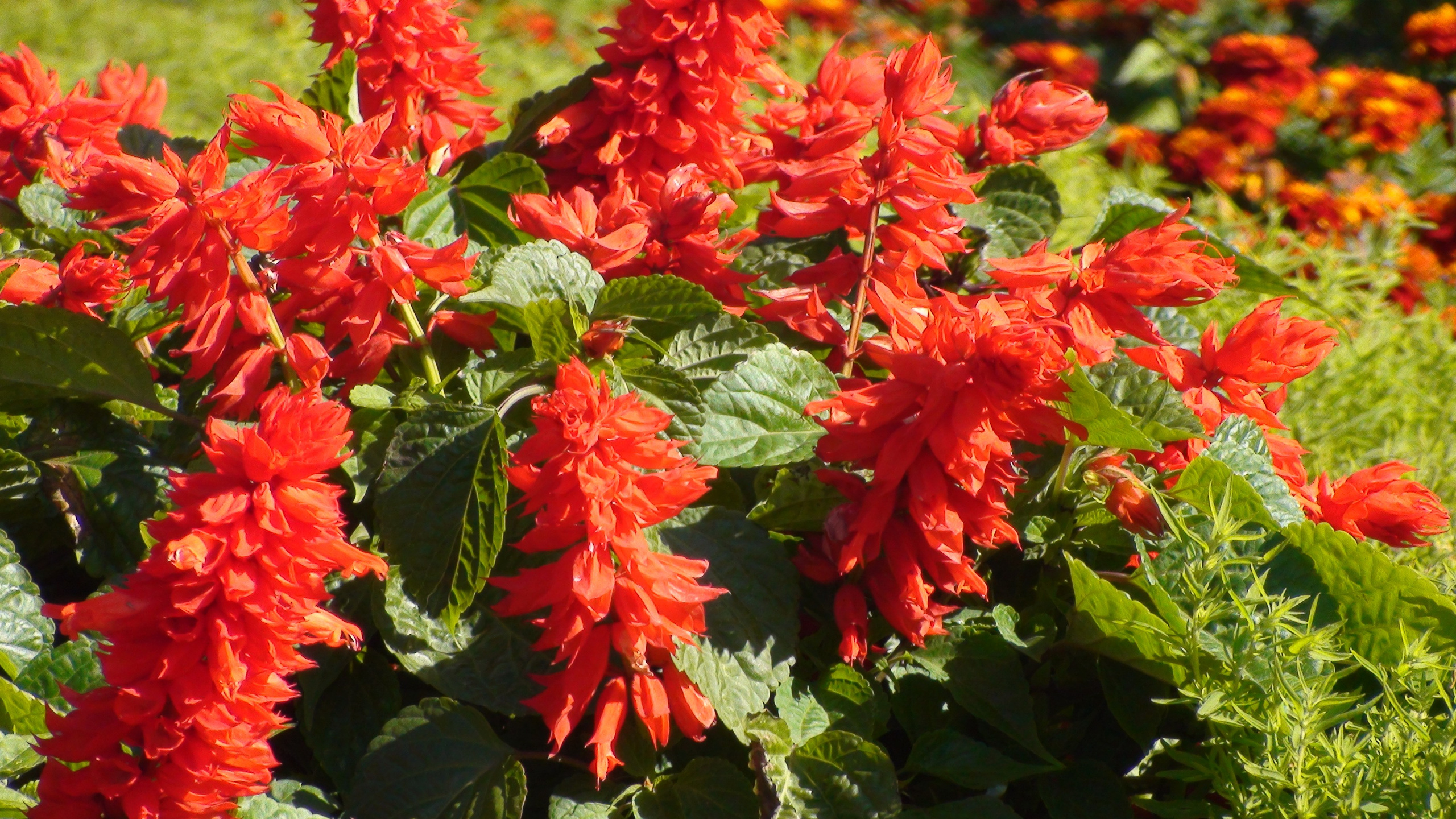 Песочные фигуры с Рускалевы 20.09.2009. Семейный, Свадебный фотограф СПБ Питер— Романова Екатерина