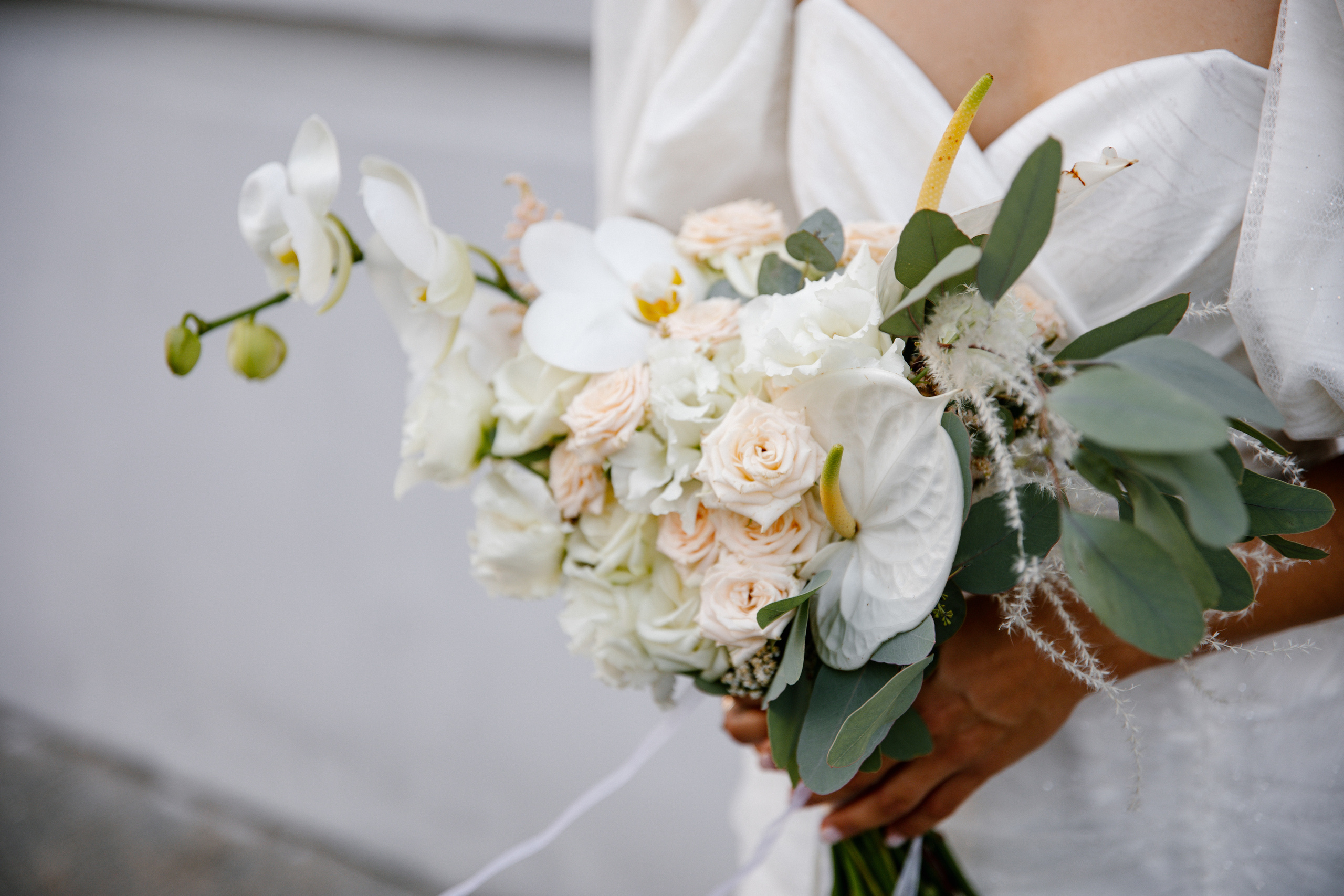 Люмьер. Главная