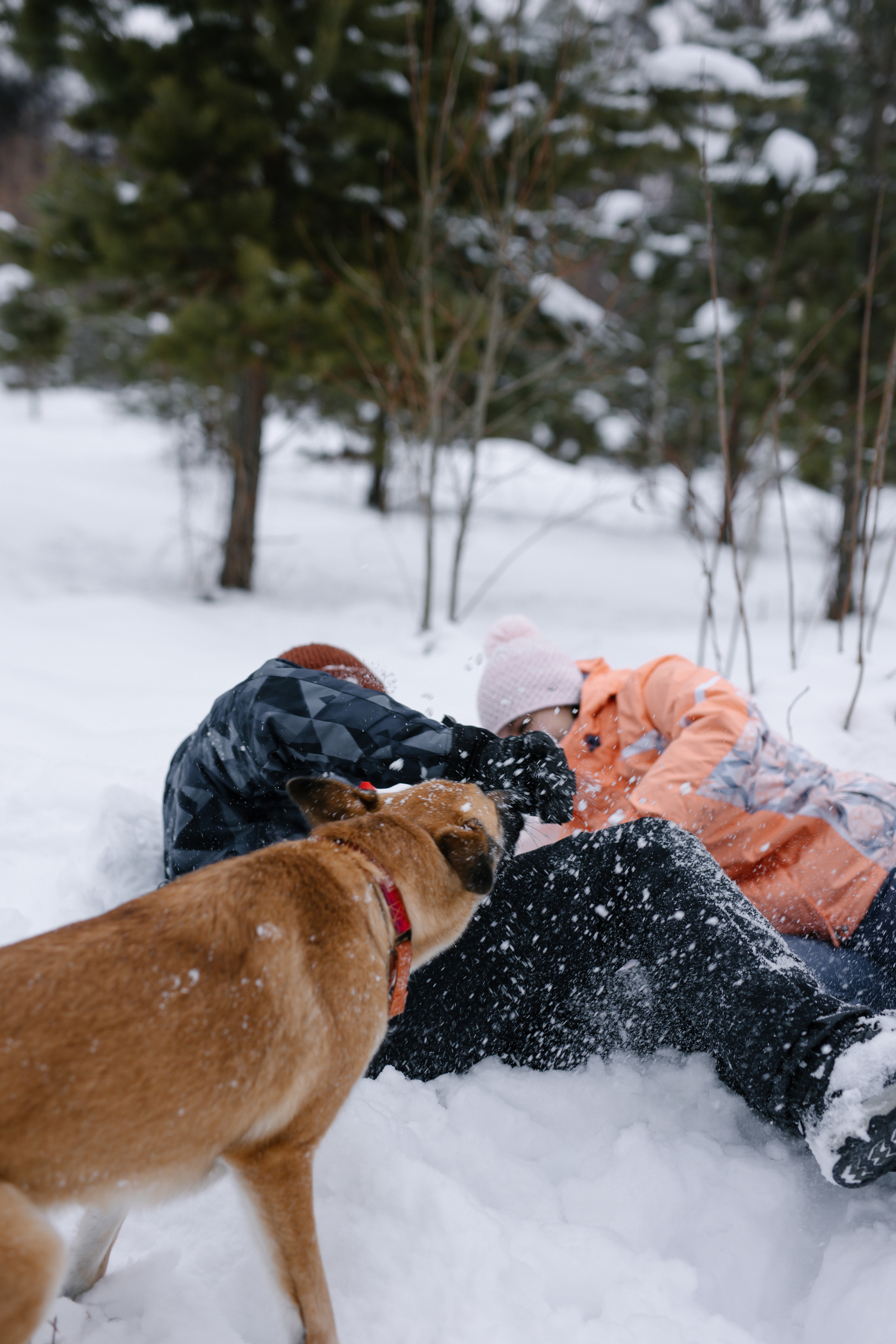 Юленька-Олег. Главная