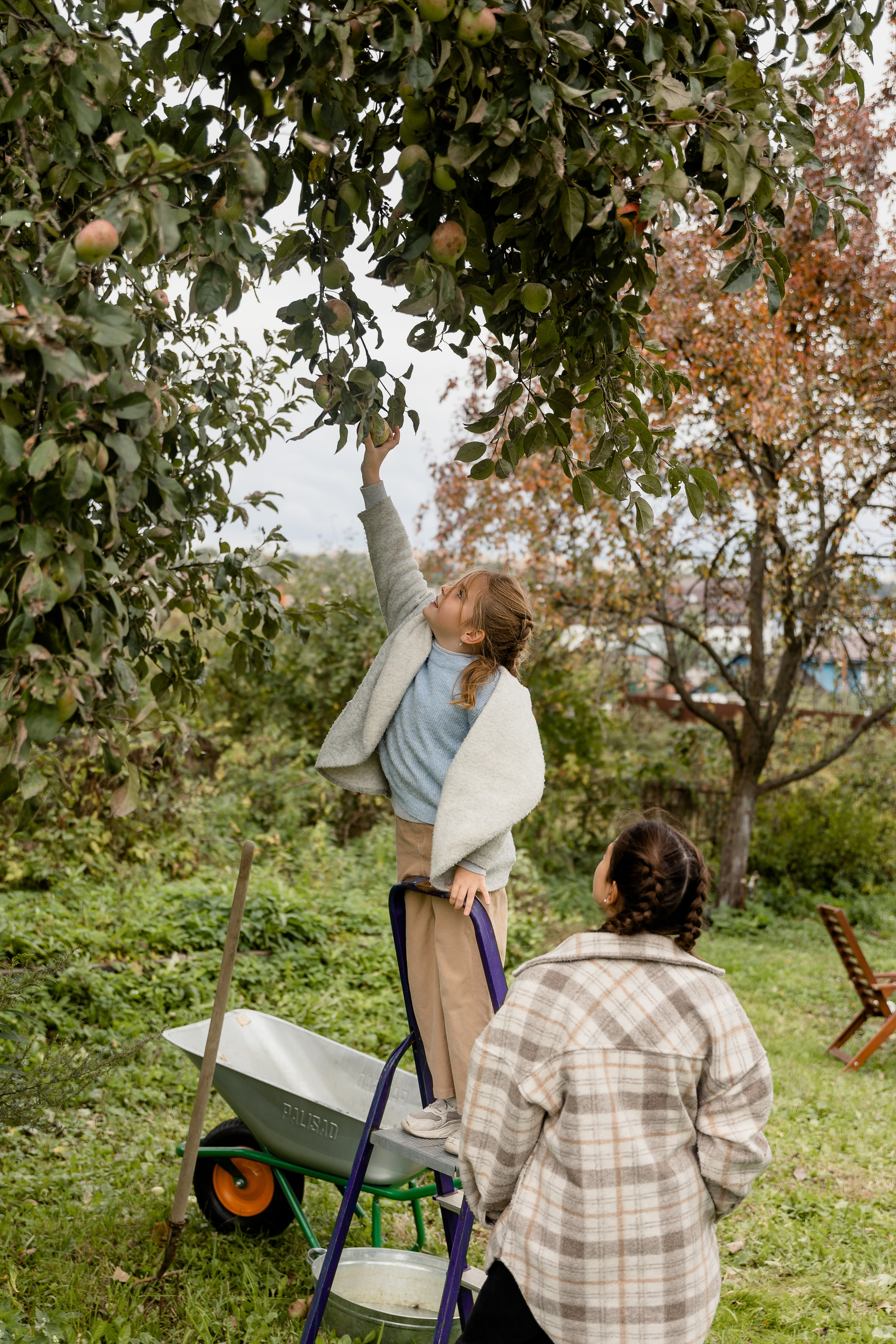 Серафима-Даша. Главная