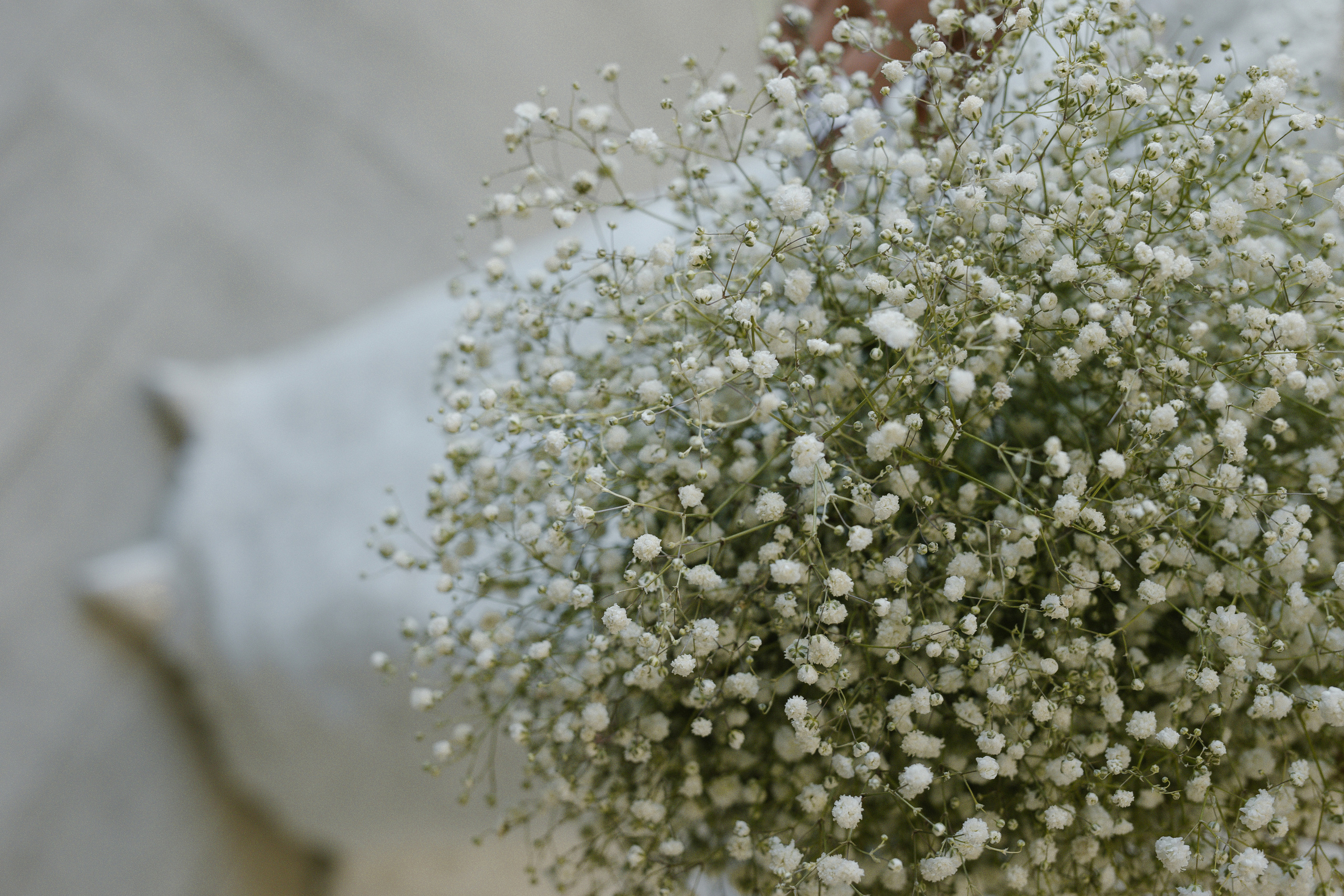 Мария-Олег. Главная