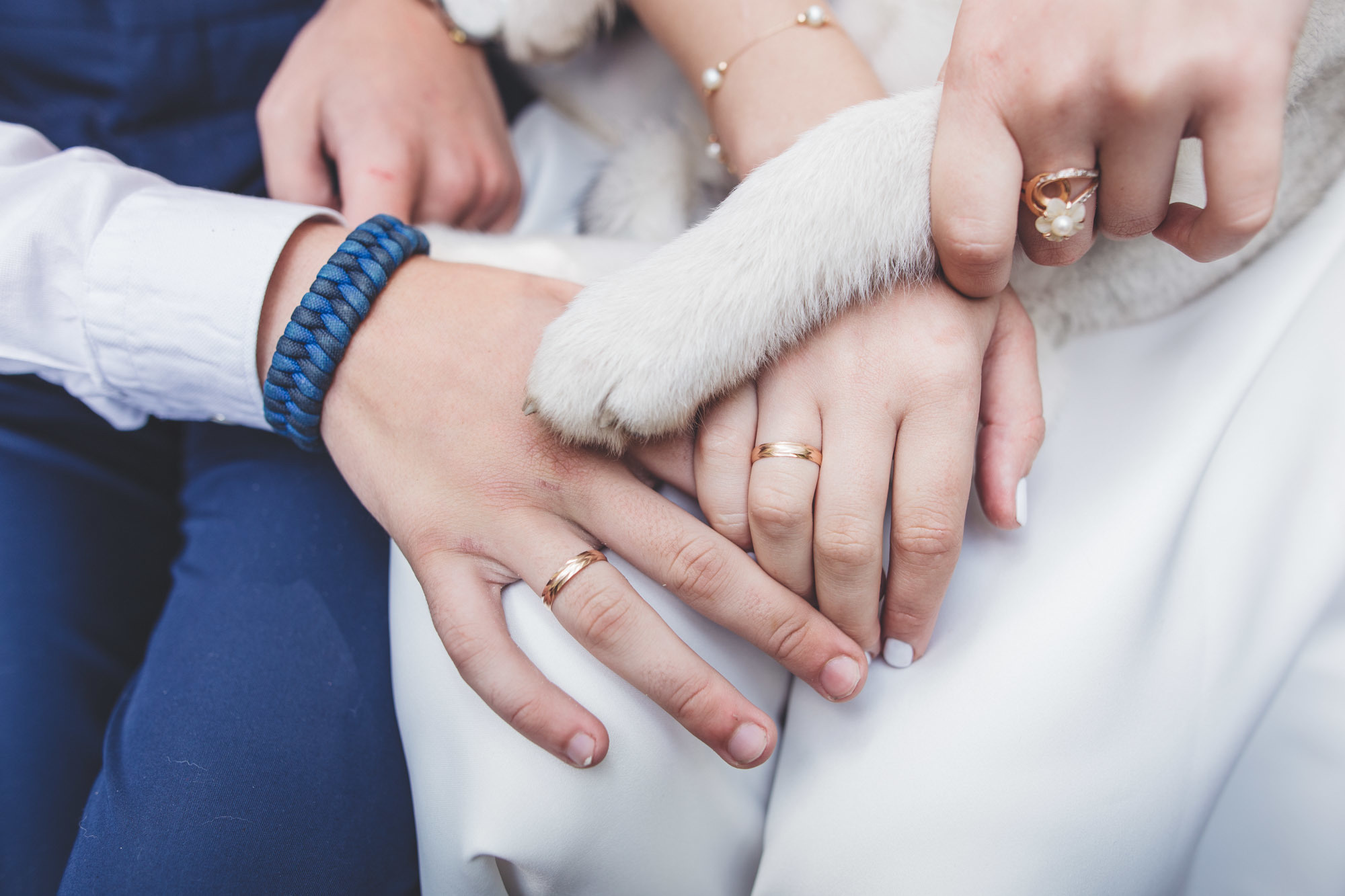 Դարիա և Ալեքսանդր. Հարսանեկան լուսանկարչություն Հայաստանում Ադամյանների ընտանիքի կողմից