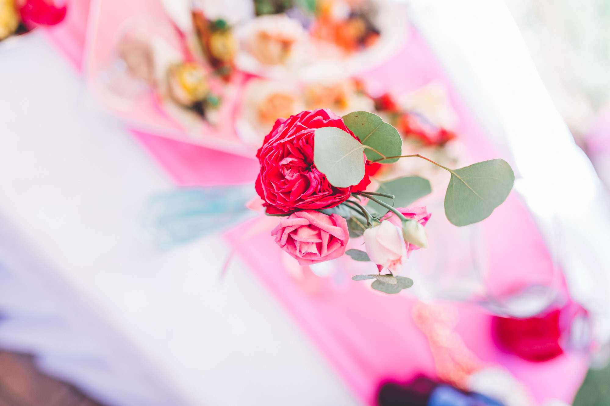 Արտեմ և Ջուլիա. Հարսանեկան լուսանկարչություն Հայաստանում Ադամյանների ընտանիքի կողմից