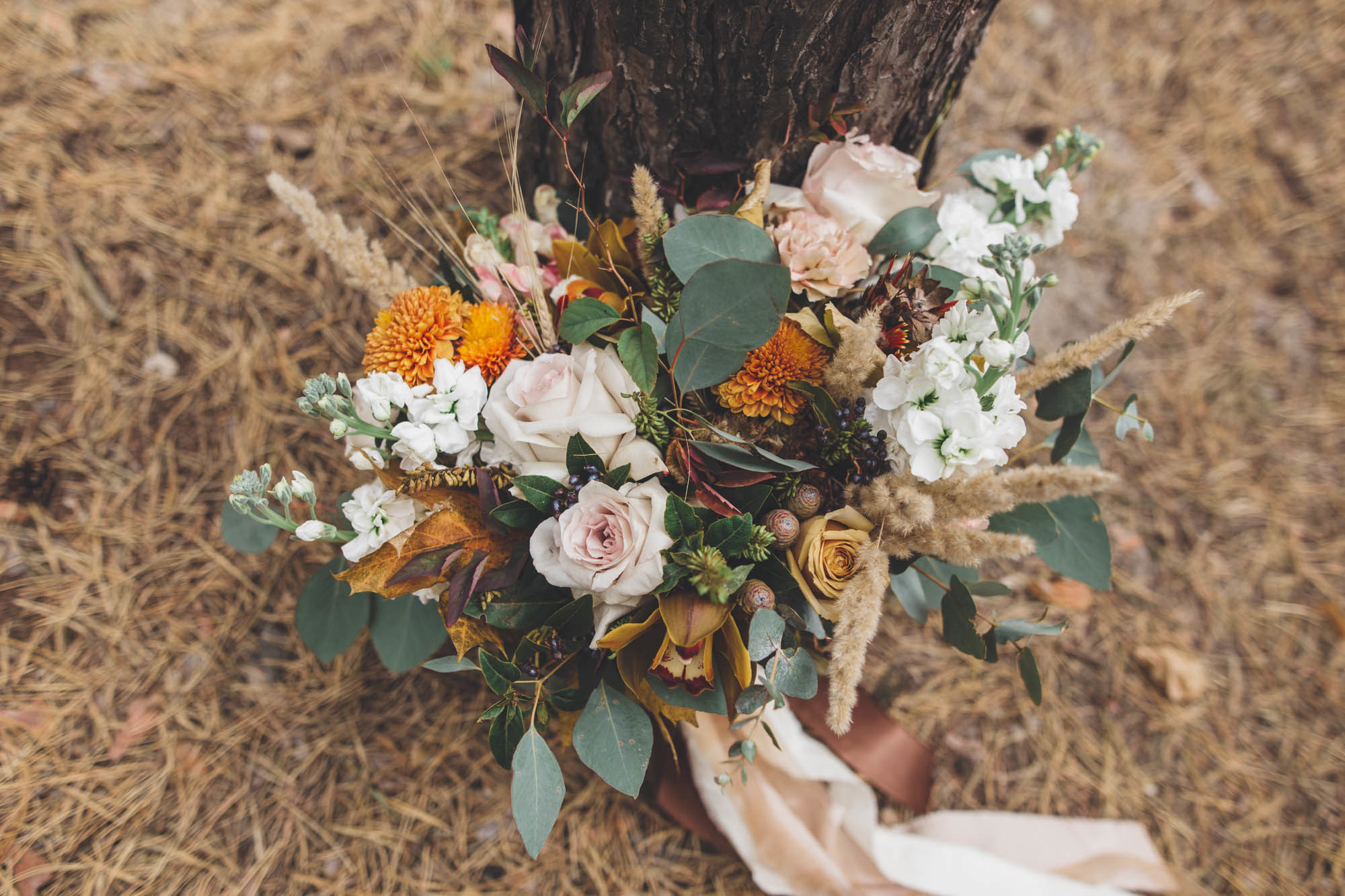 Анатолий & Екатерина. Свадебная и семейная фотография в Курске Адамян Давид
