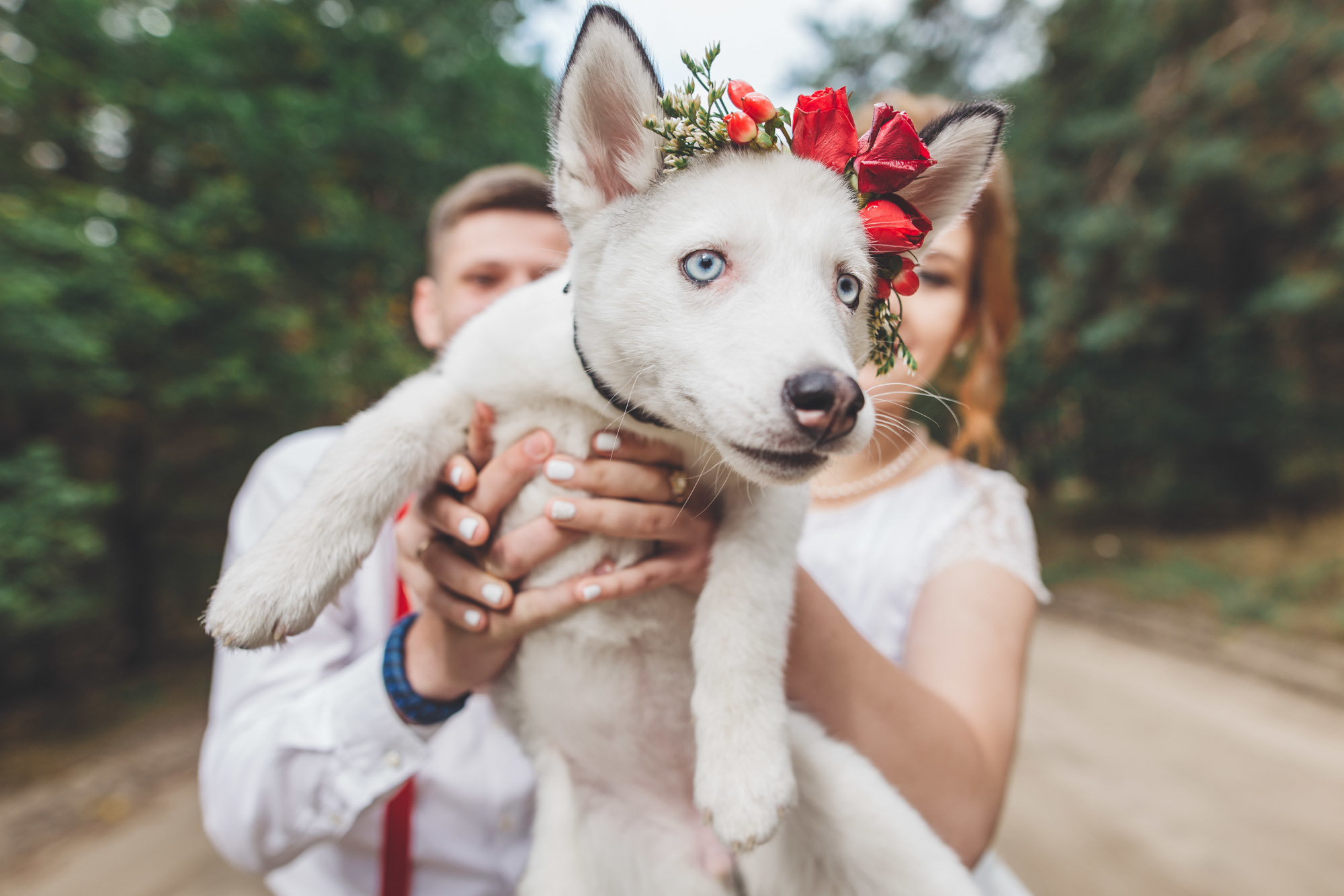 Դարիա և Ալեքսանդր. Հարսանեկան լուսանկարչություն Հայաստանում Ադամյանների ընտանիքի կողմից