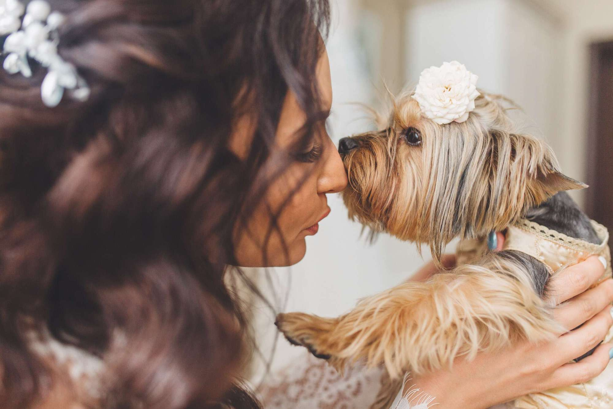 Andrey & Alexandra Wed. Wedding and family photography Adamians