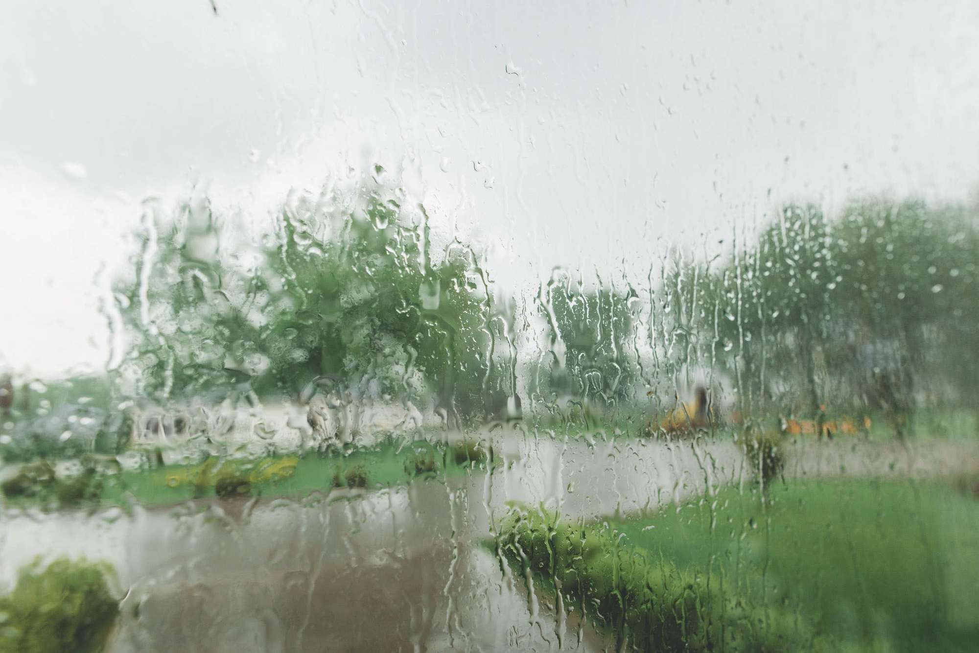 Serg & Ann. Wedding and family photography Adamians