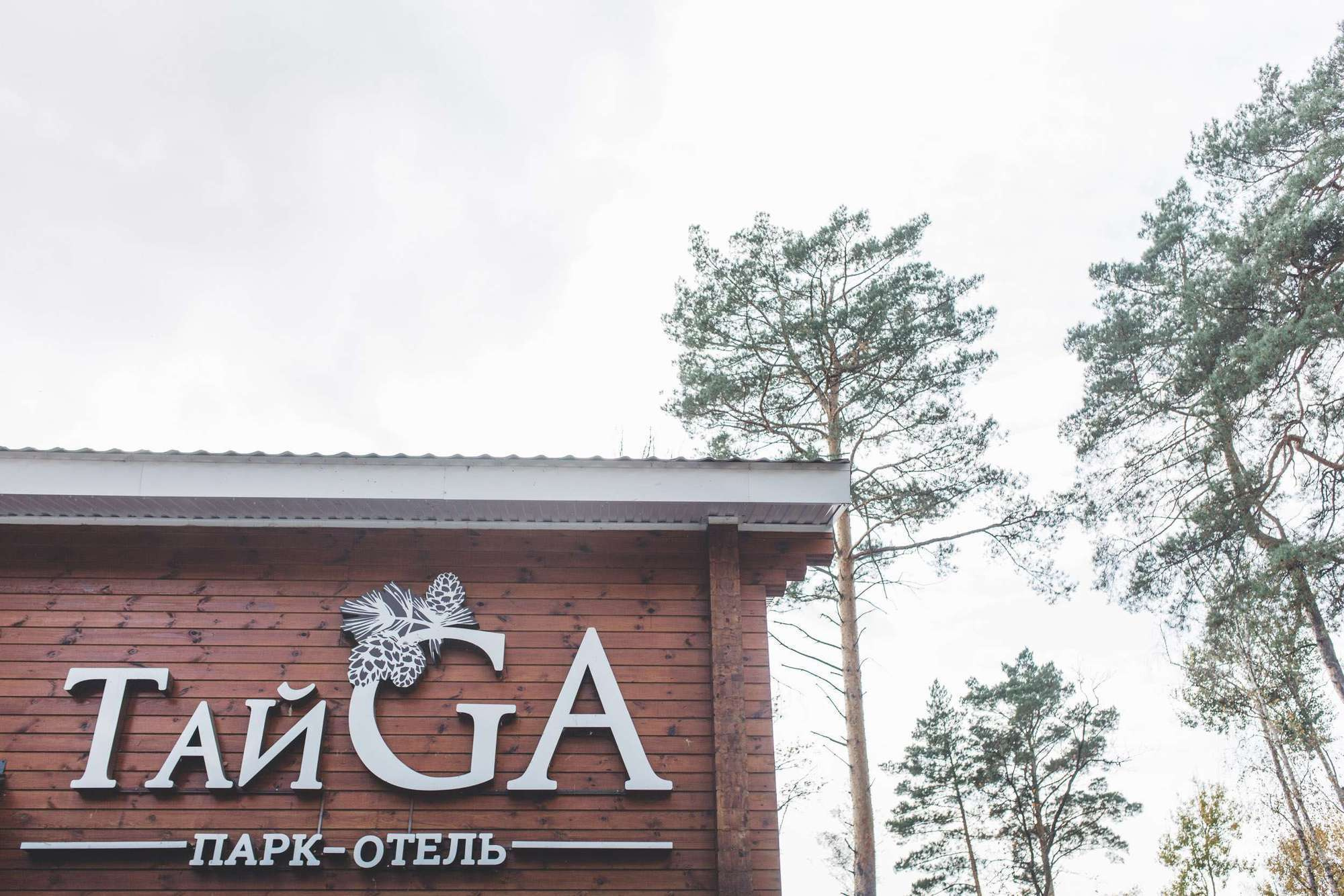 Andrey & Kate. Wedding and family photography Adamians