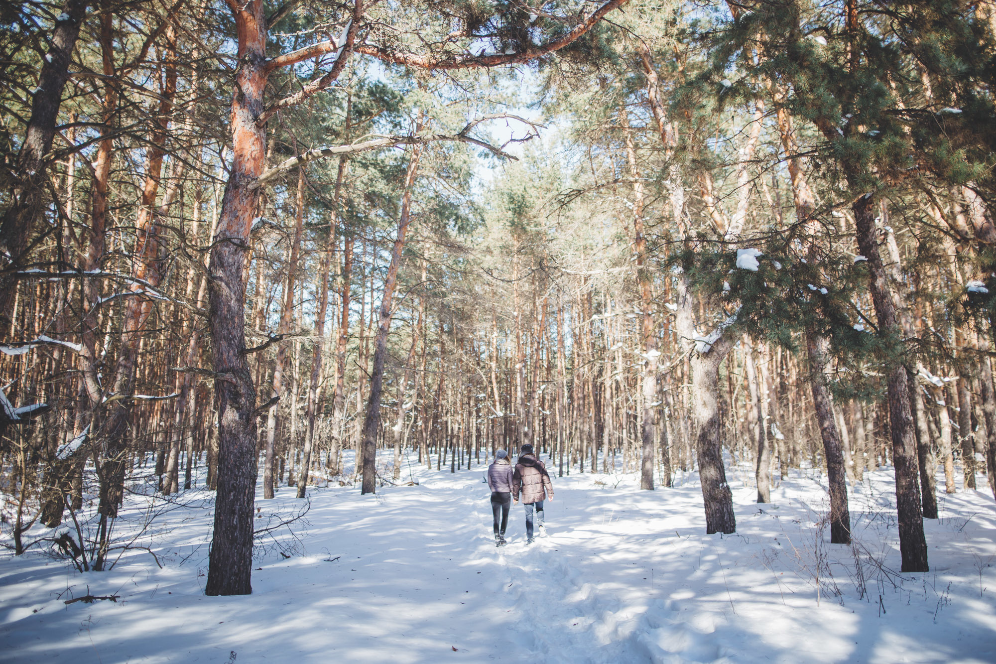 Ձմեռային տրամադրություն. Հարսանեկան լուսանկարչություն Հայաստանում Ադամյանների ընտանիքի կողմից